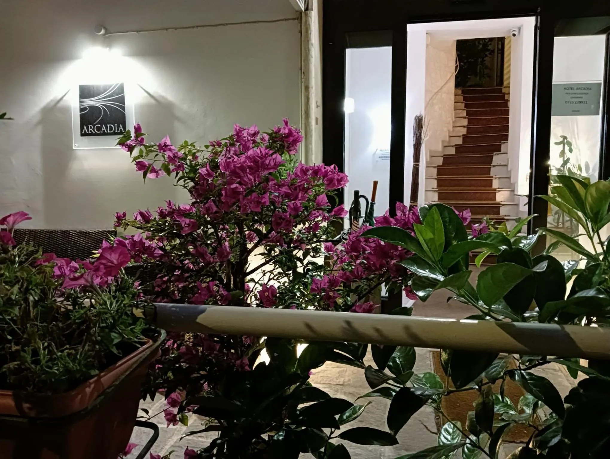 Garden in Hotel Arcadia