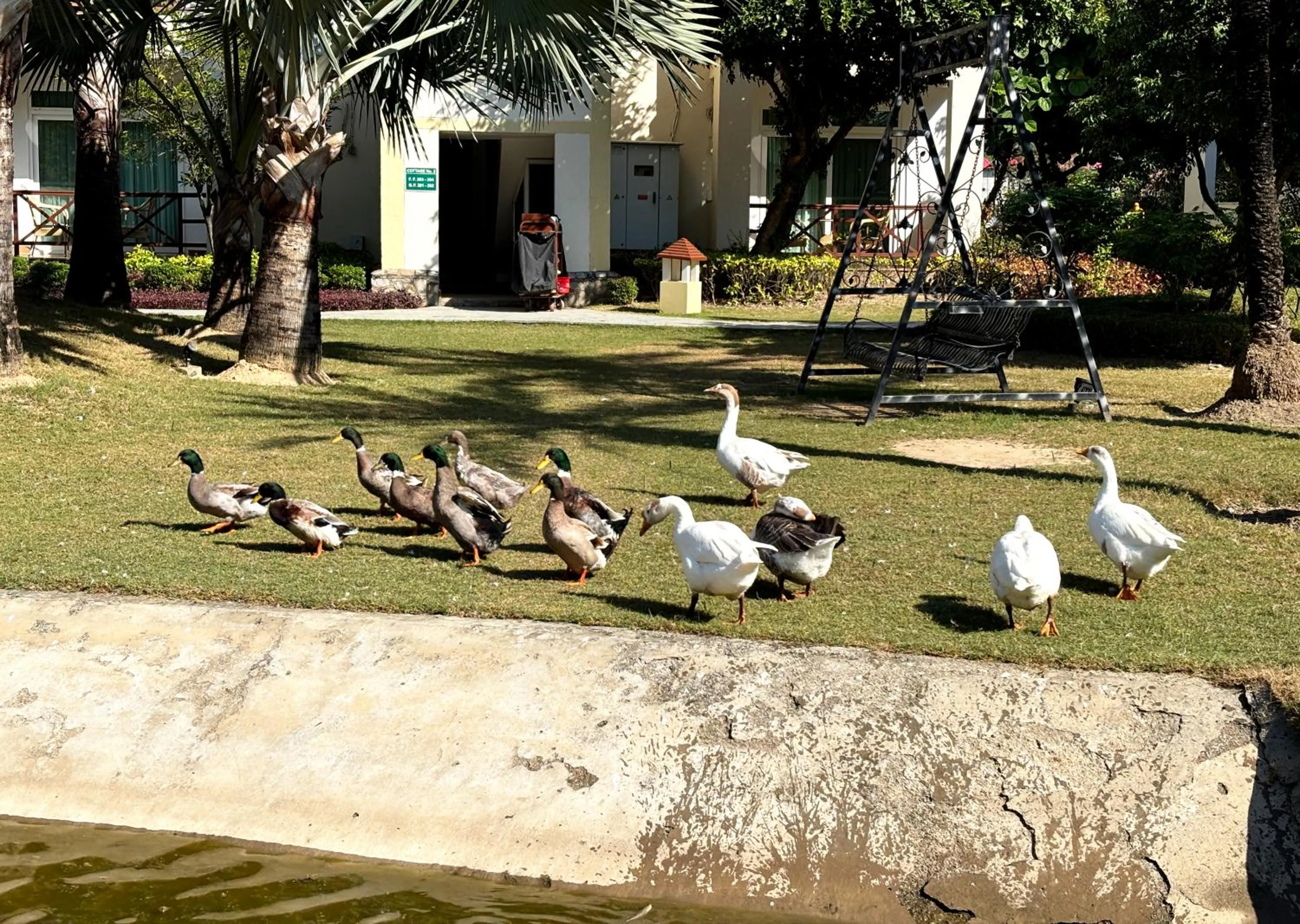 Resort De Coracao - Corbett , Uttarakhand