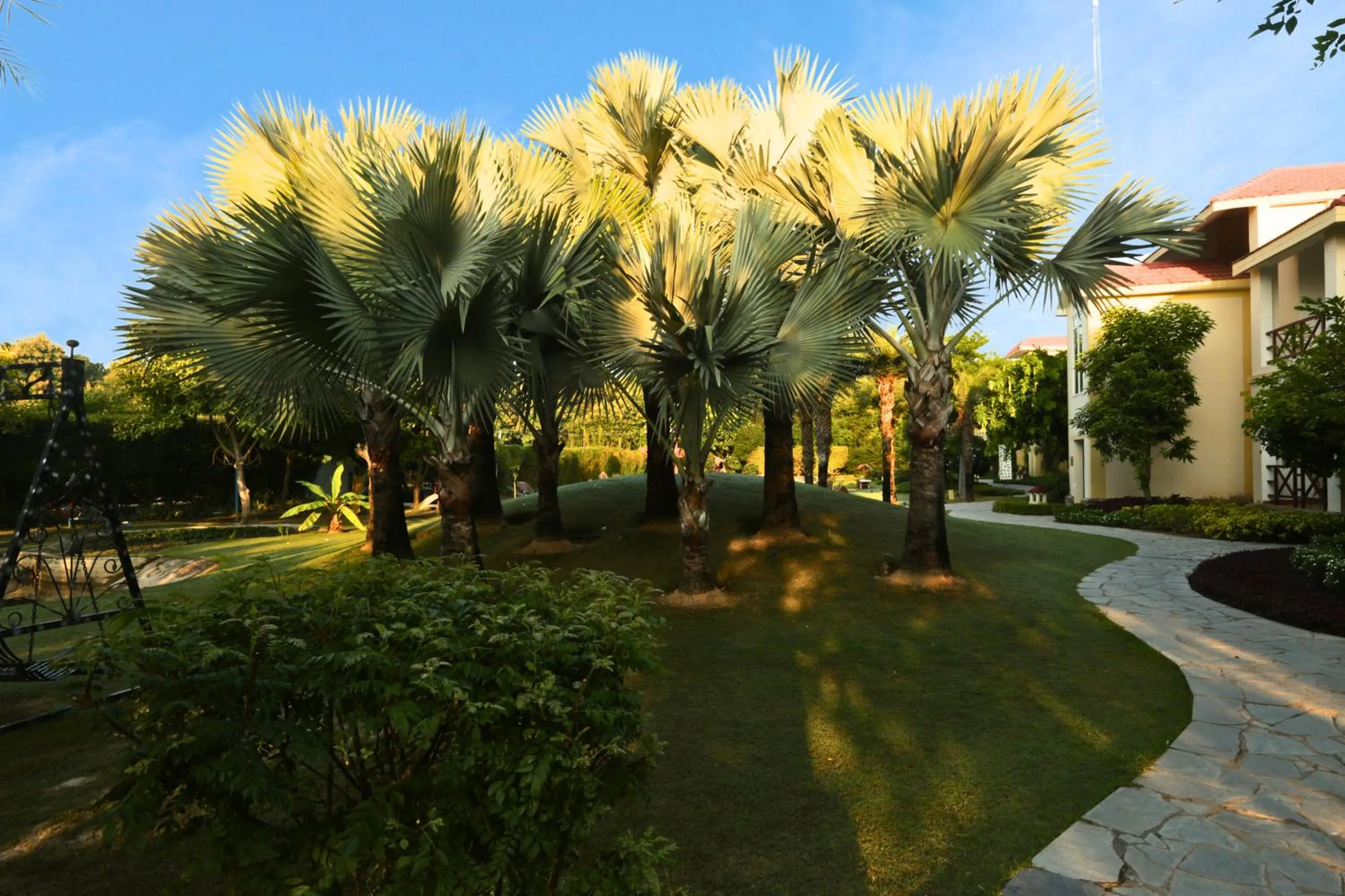 Resort De Coracao - Corbett , Uttarakhand