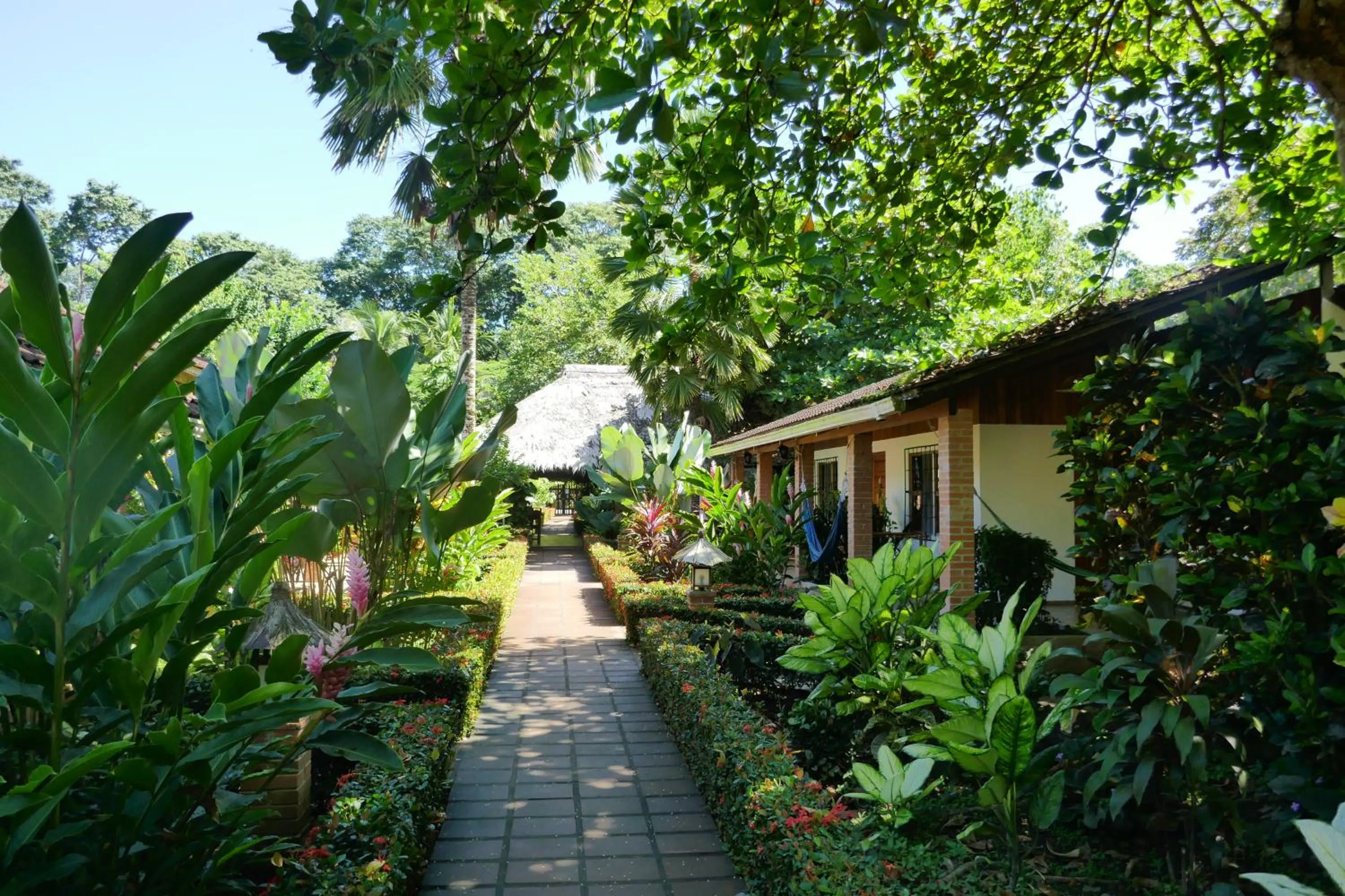 Garden view in Escape Caribeño