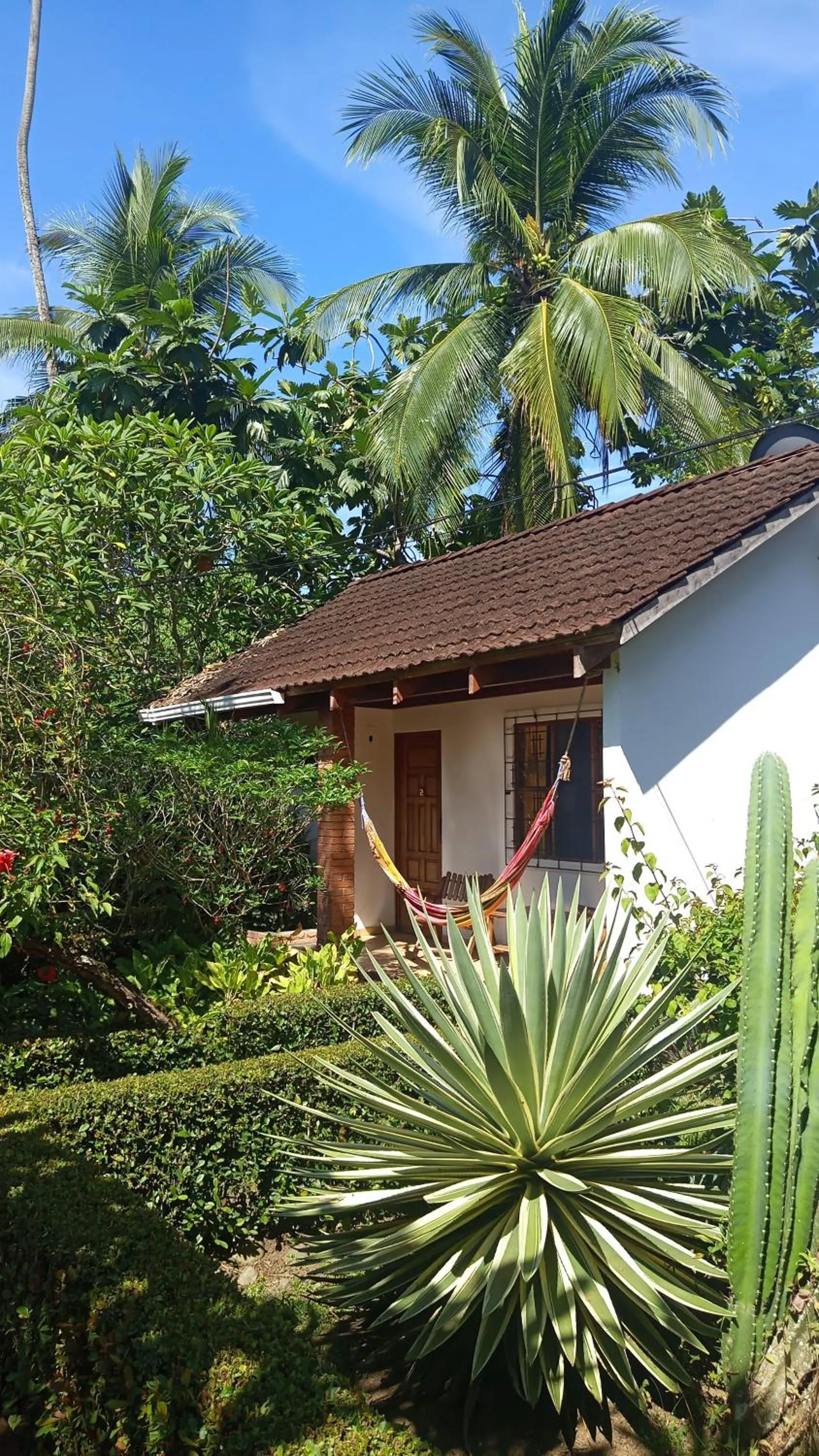 Garden in Escape Caribeño
