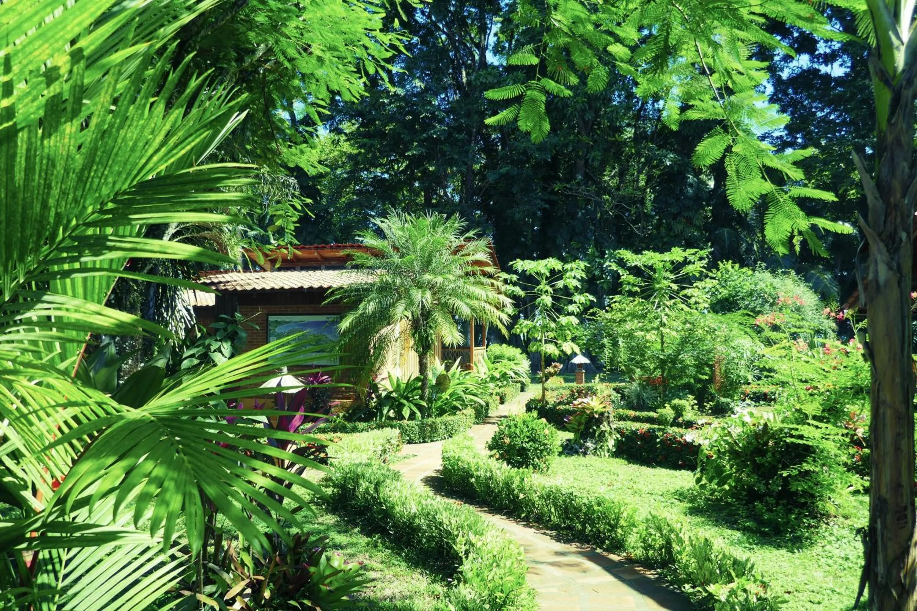 Garden in Escape Caribeño