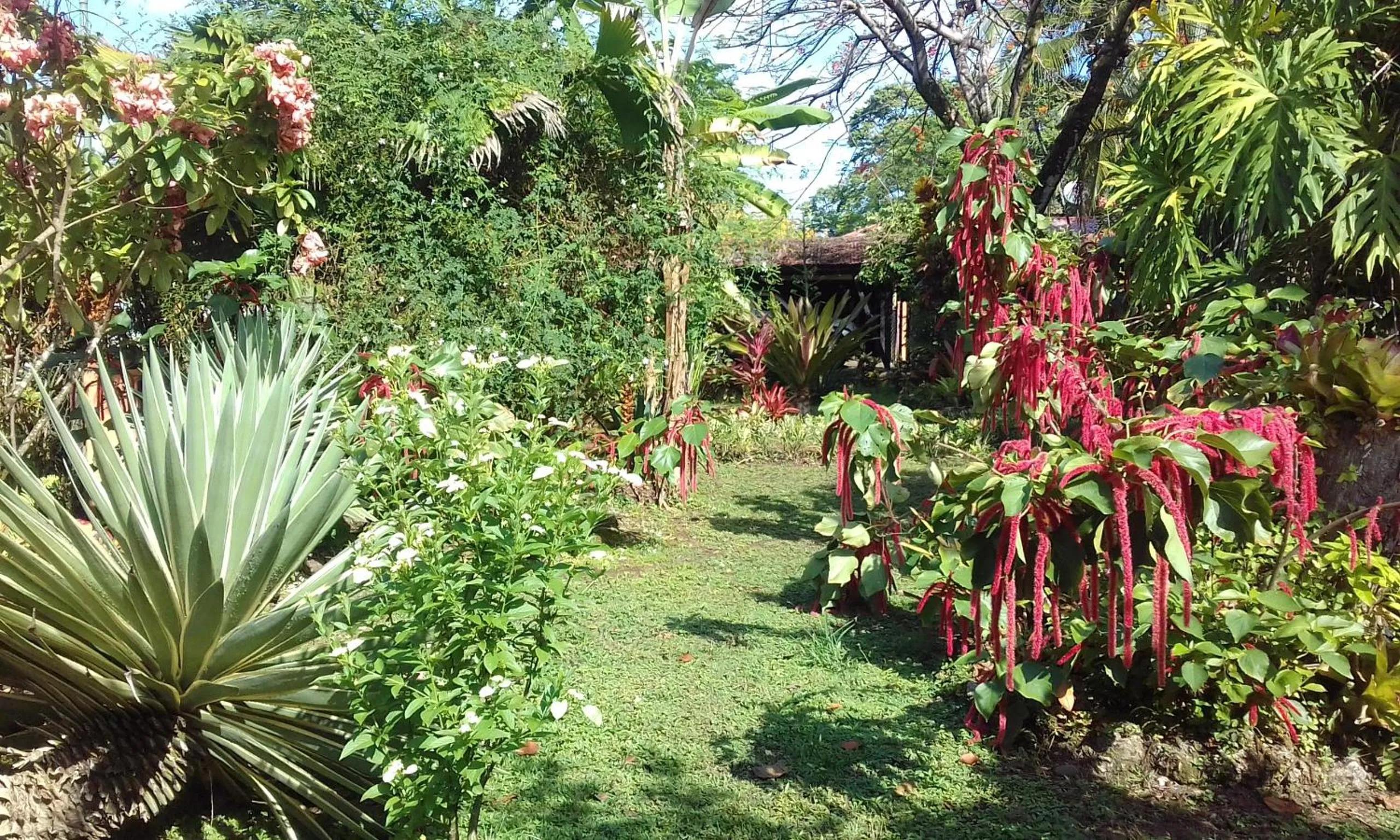 Property building in Escape Caribeño