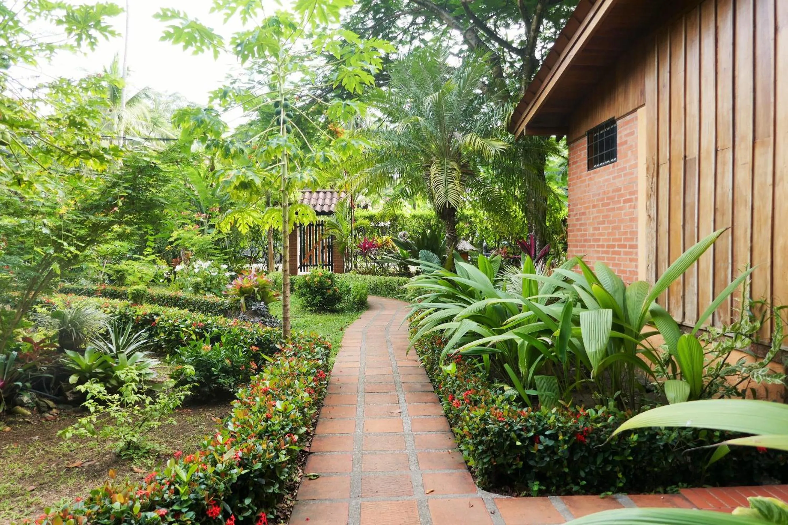 Garden in Escape Caribeño