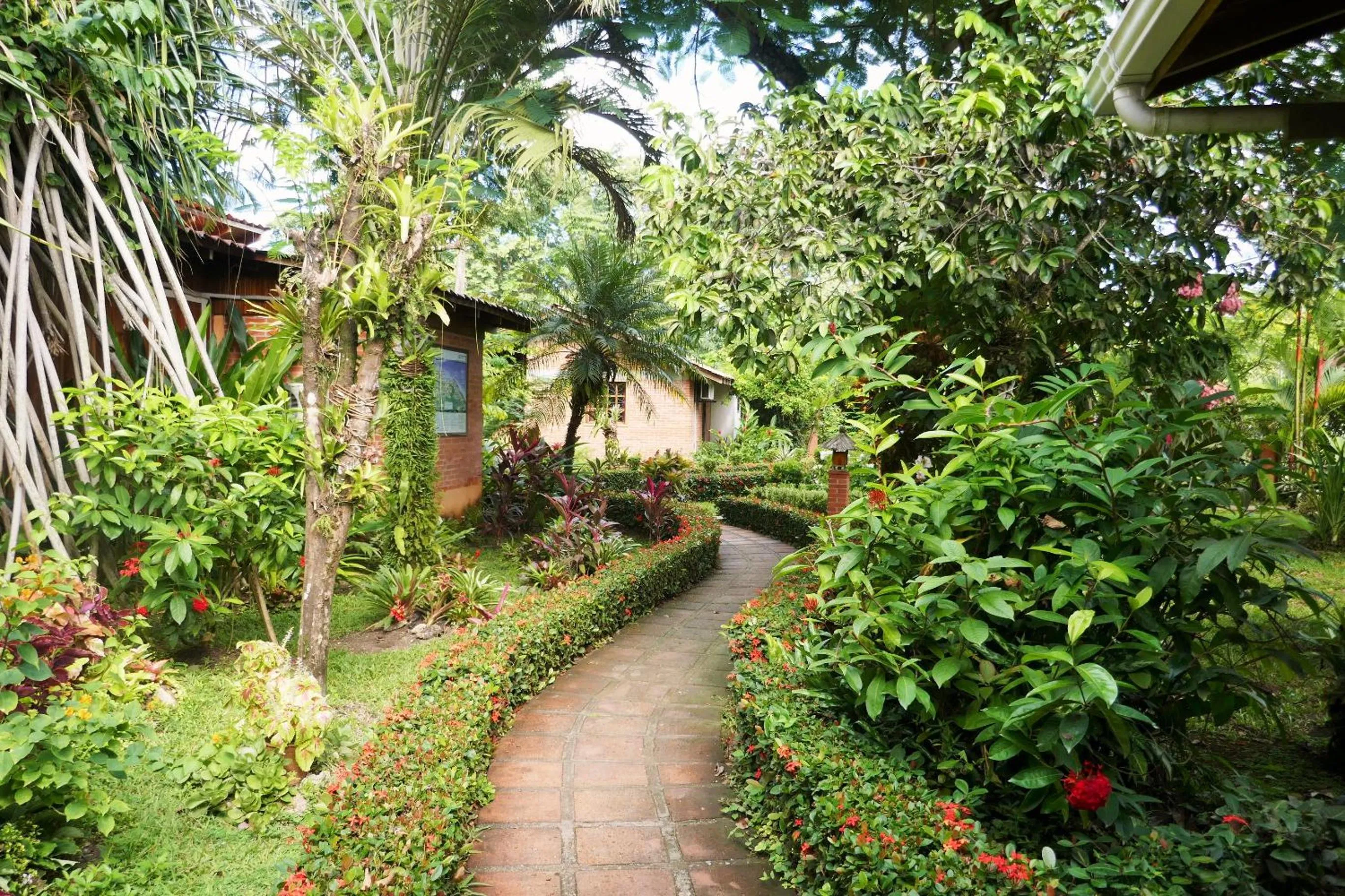 Garden in Escape Caribeño