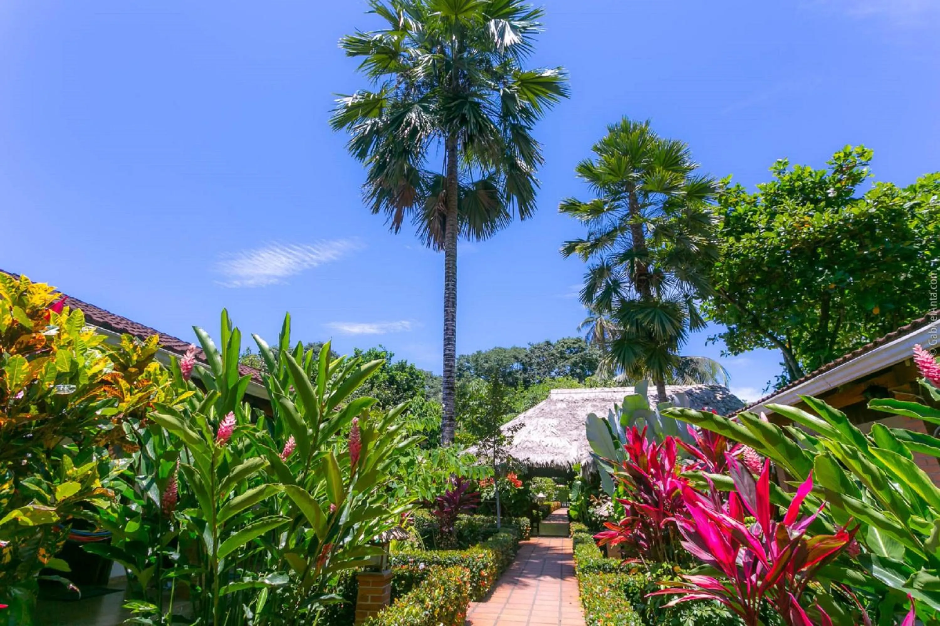 Garden in Escape Caribeño