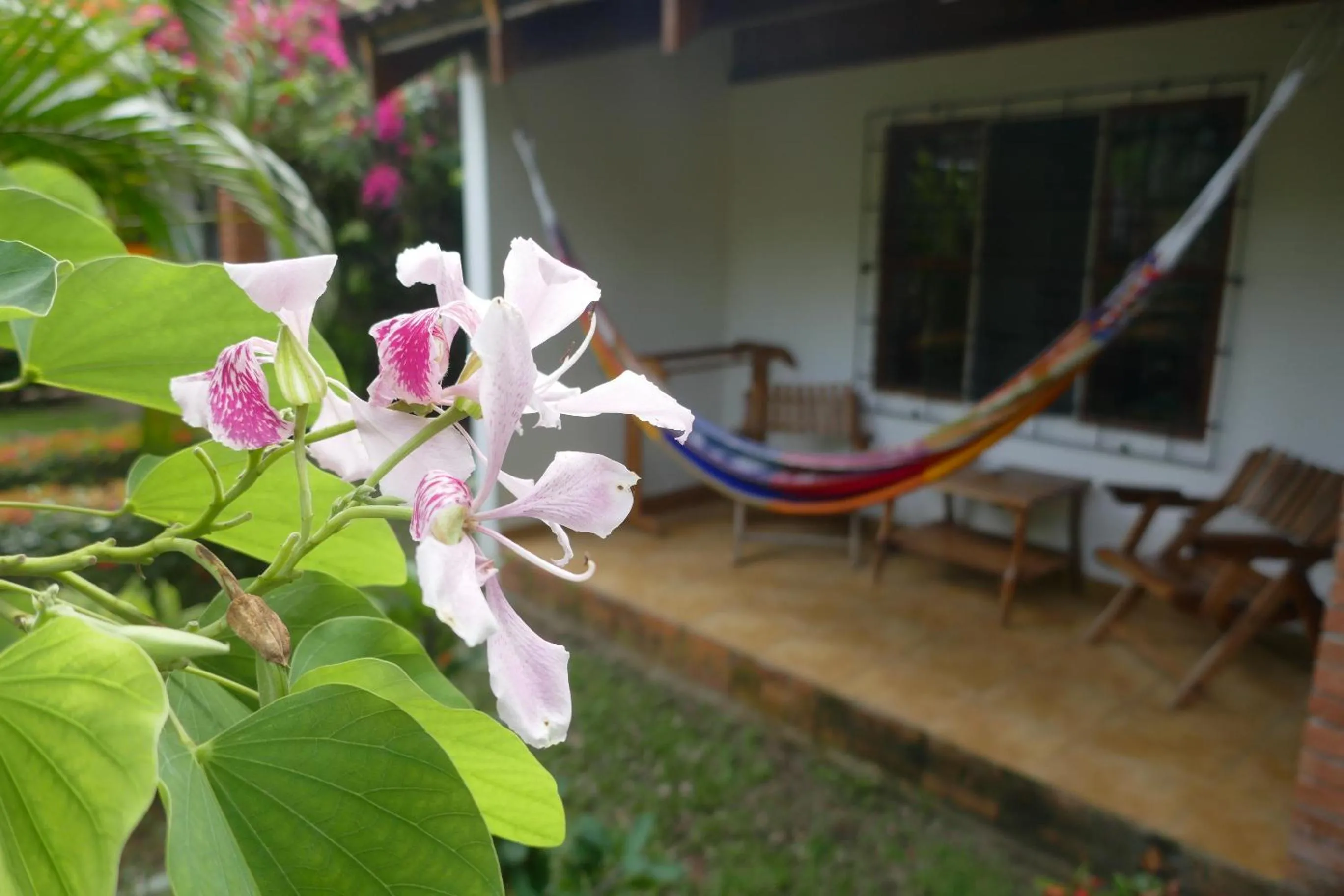 Garden in Escape Caribeño