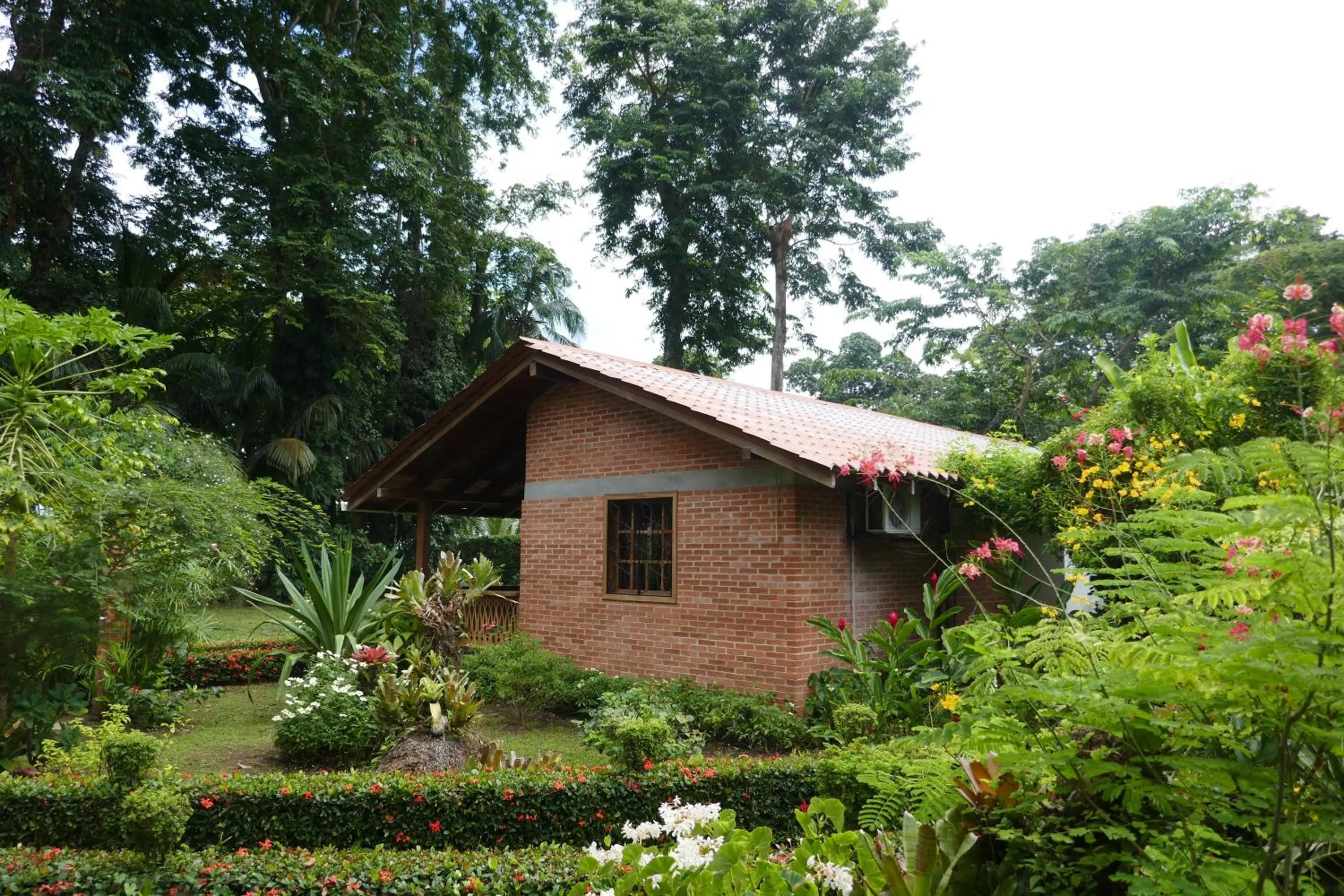 Garden view in Escape Caribeño