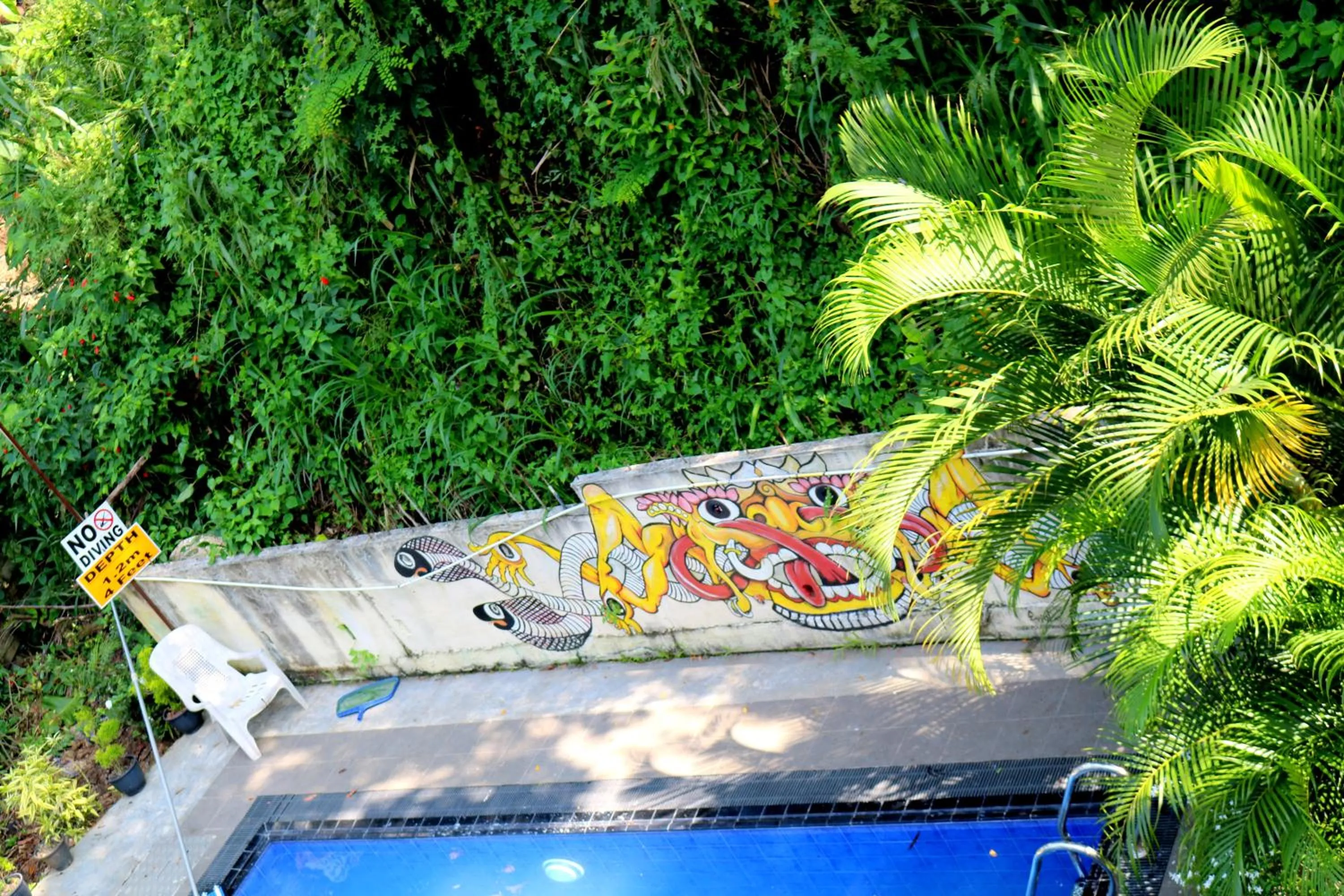 Garden in Kandy Backpackers Hostel