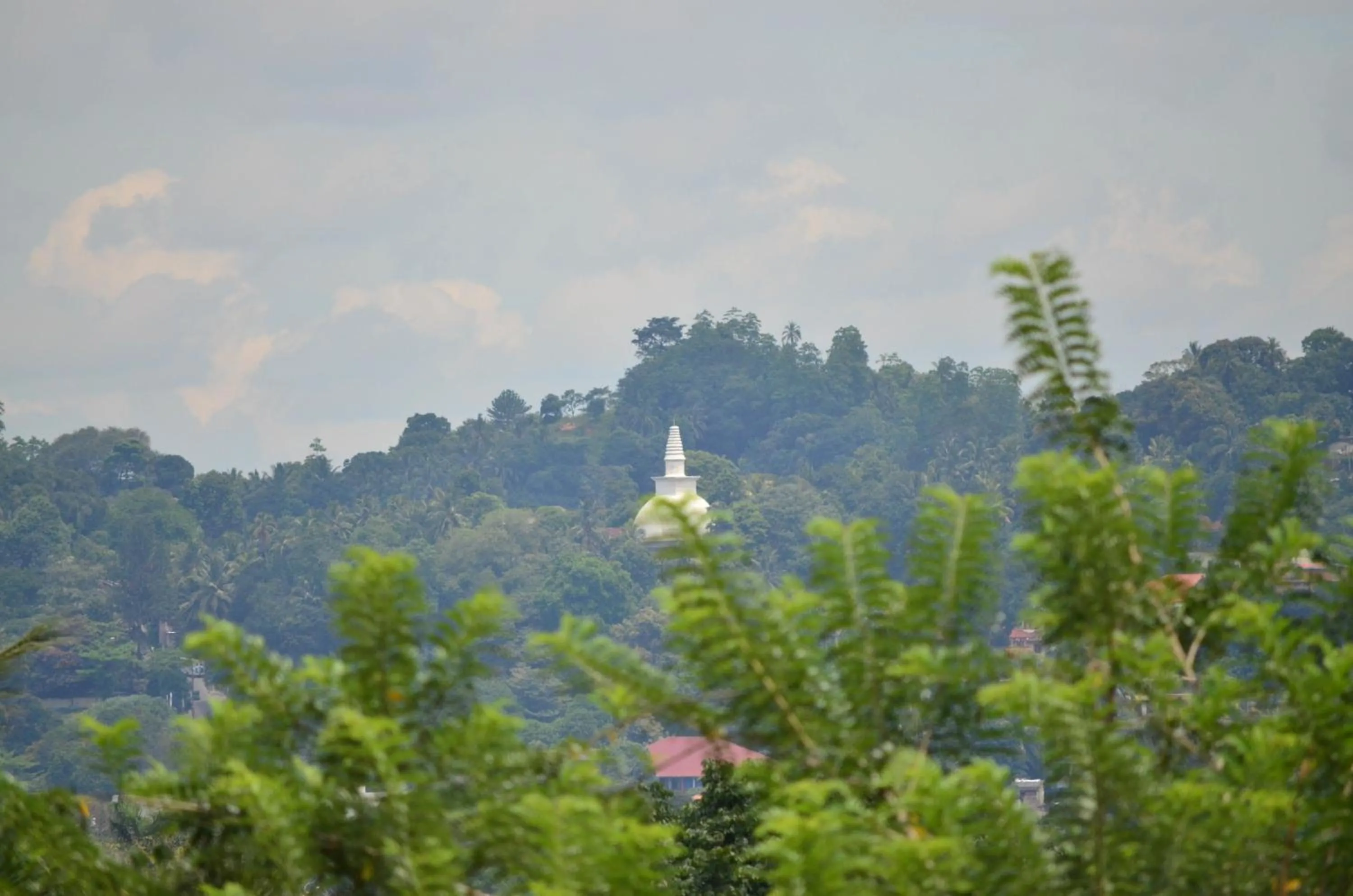 Landmark view in Kandy Backpackers Hostel