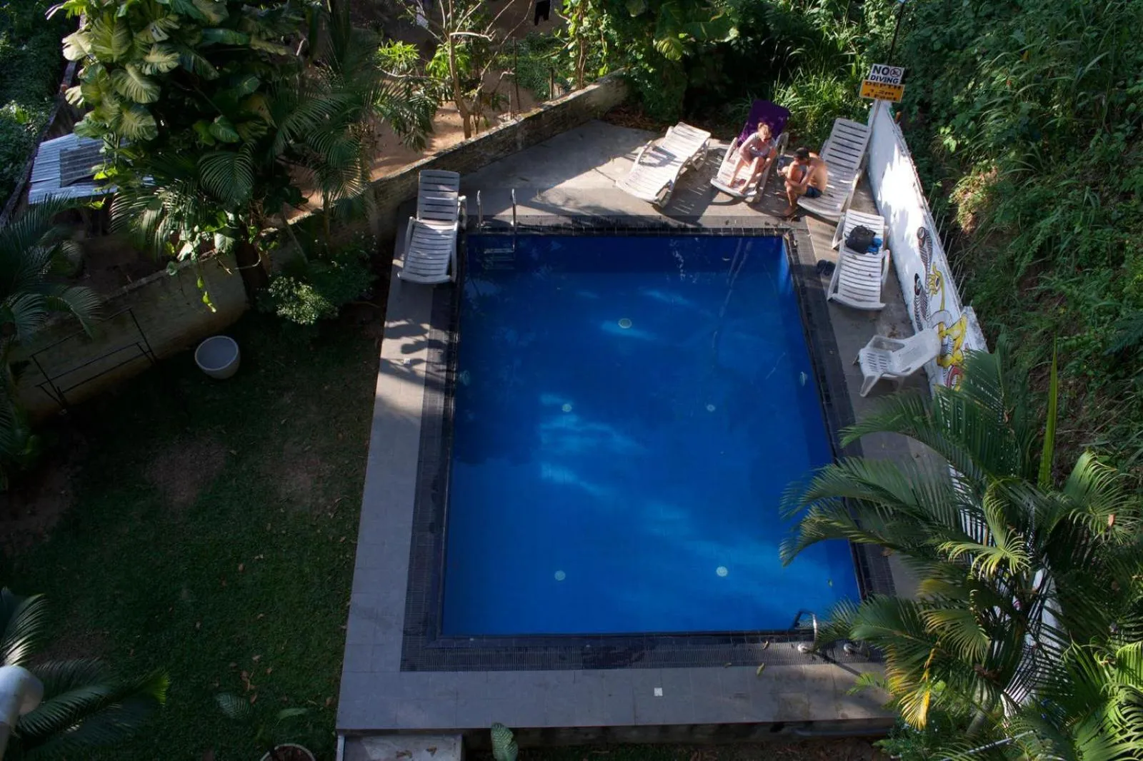Garden in Kandy Backpackers Hostel