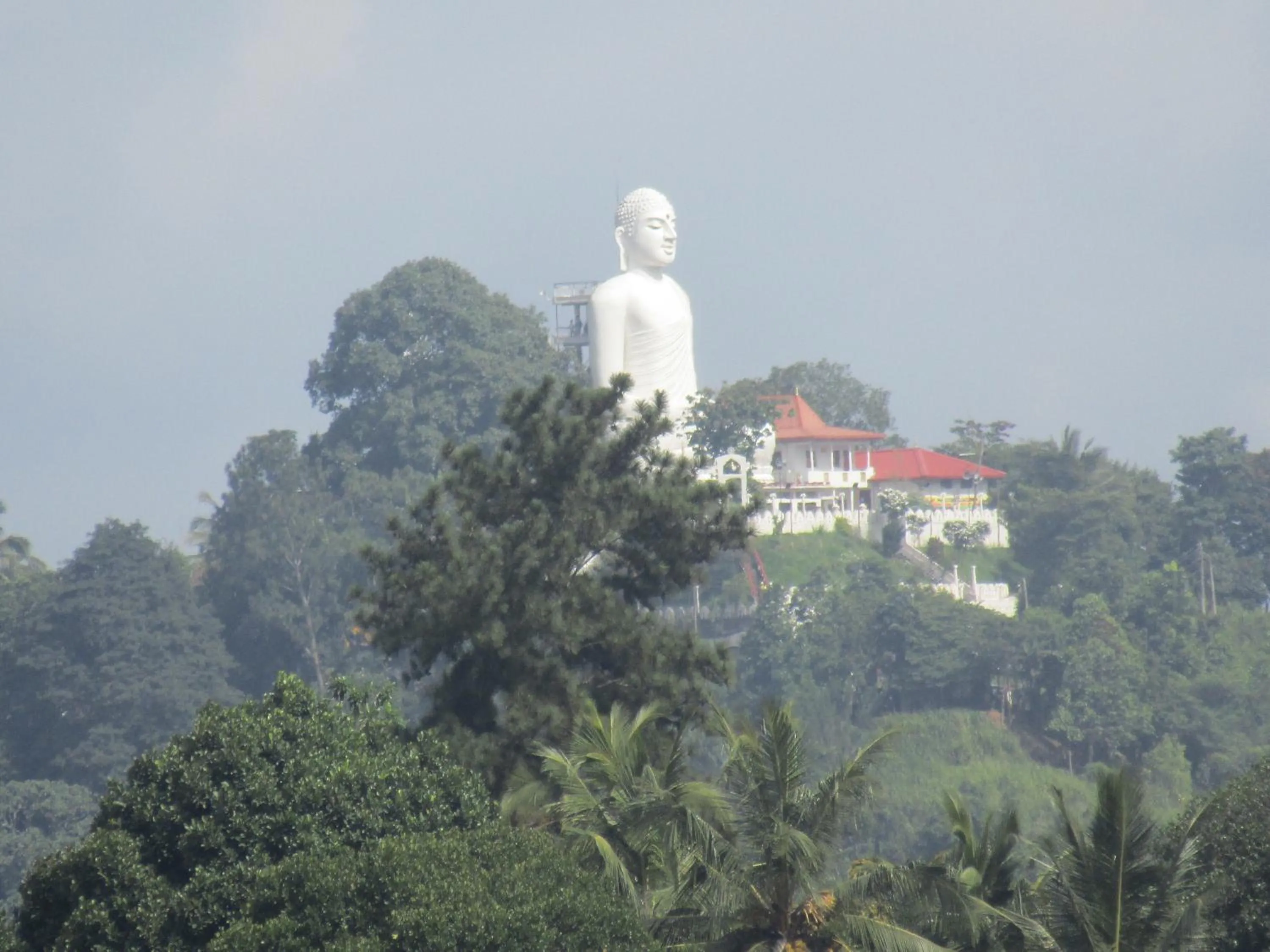 View (from property/room) in Kandy Backpackers Hostel