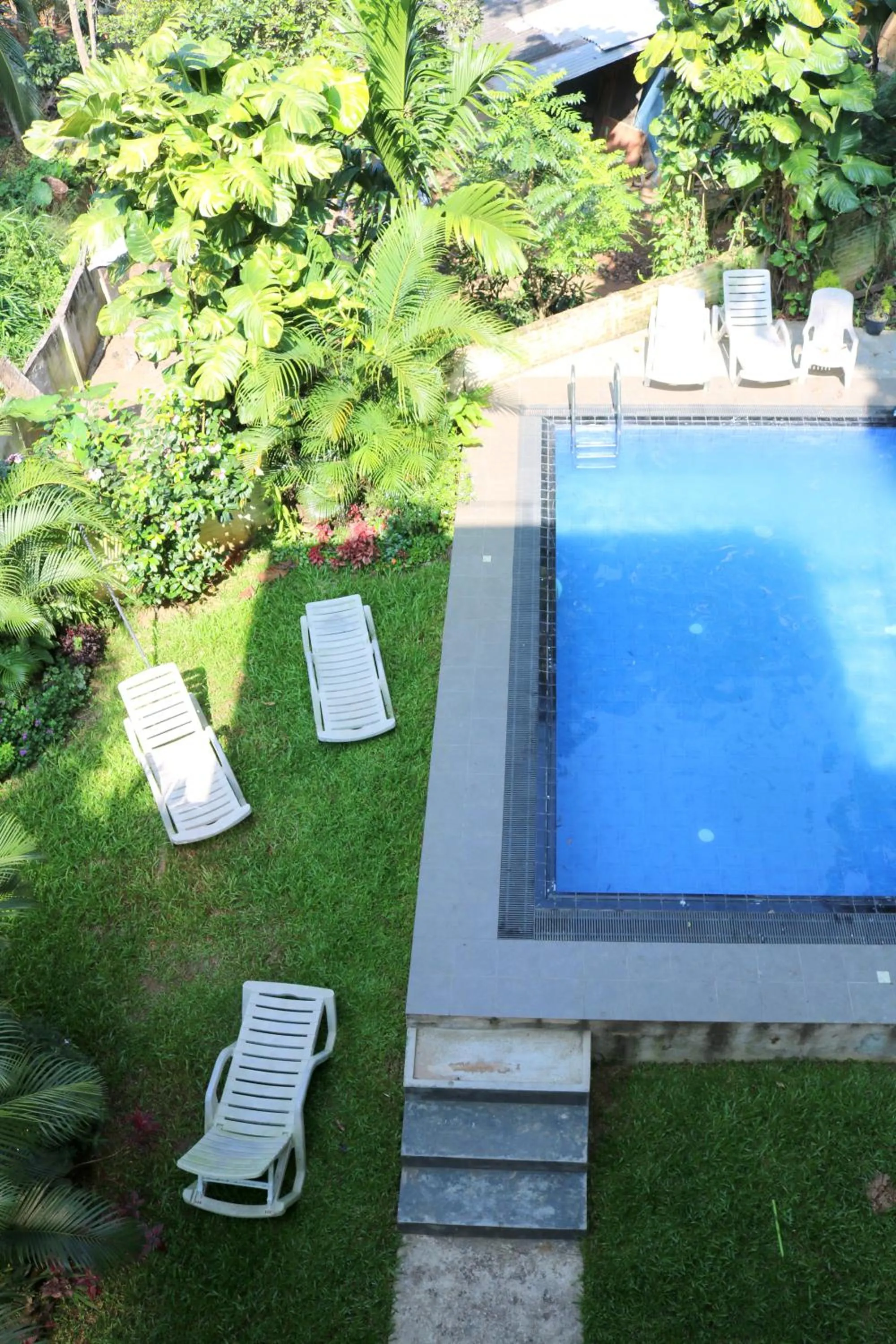 Garden in Kandy Backpackers Hostel
