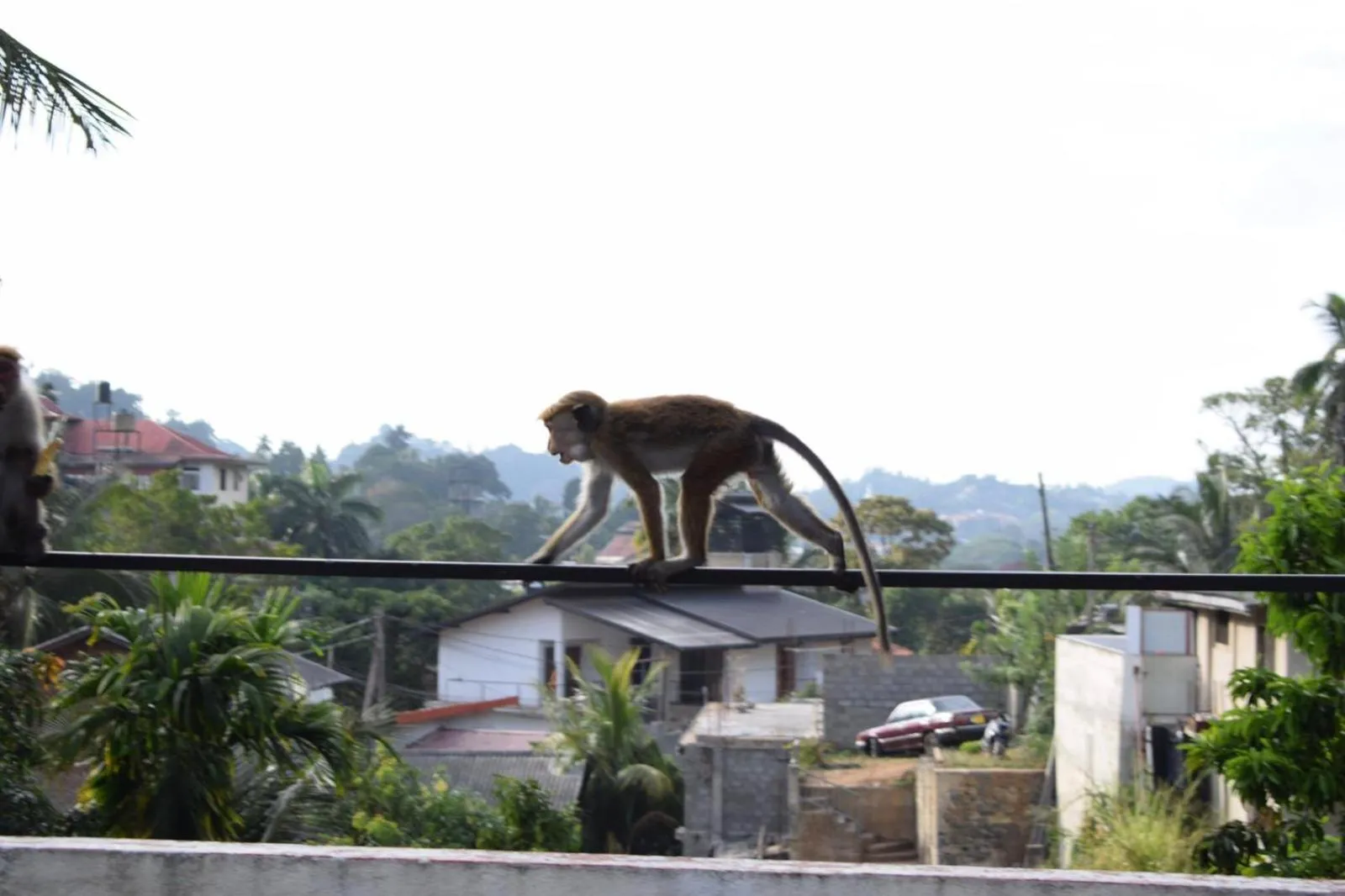Natural landscape in Kandy Backpackers Hostel