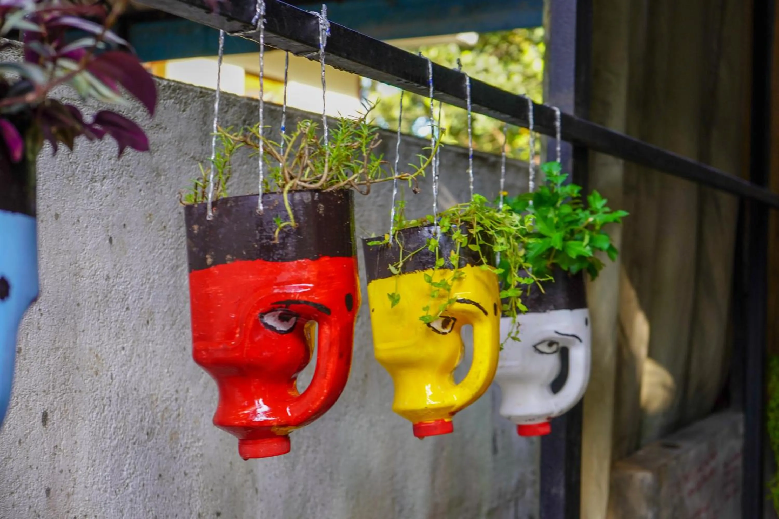 Garden in Kandy Backpackers Hostel