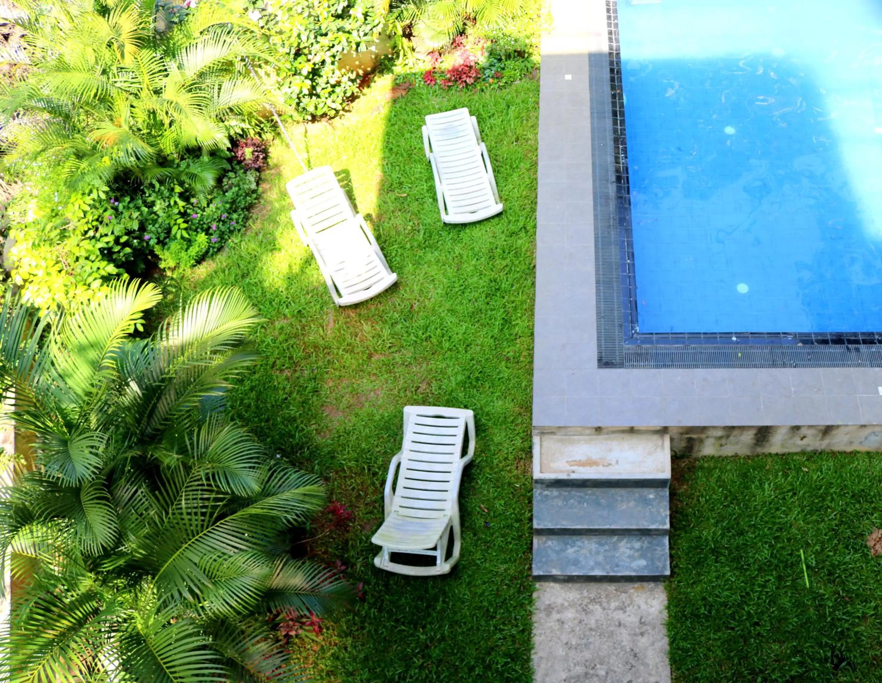Garden in Kandy Backpackers Hostel