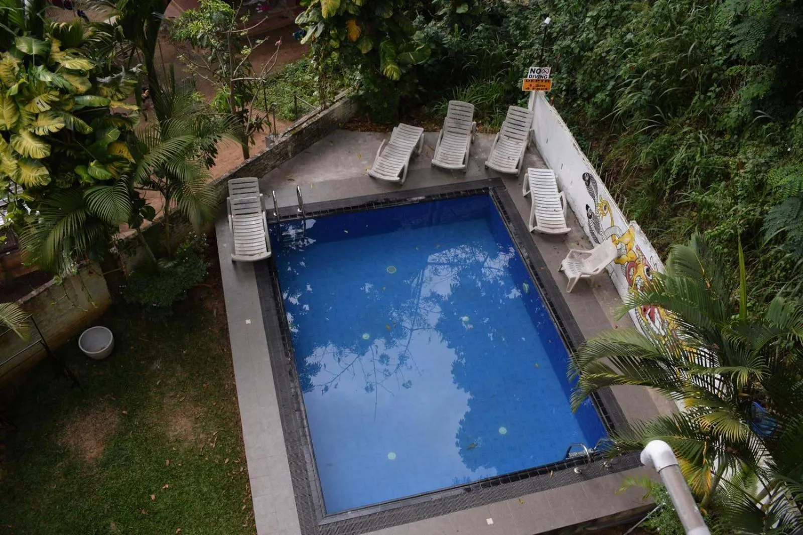 Natural landscape in Kandy Backpackers Hostel