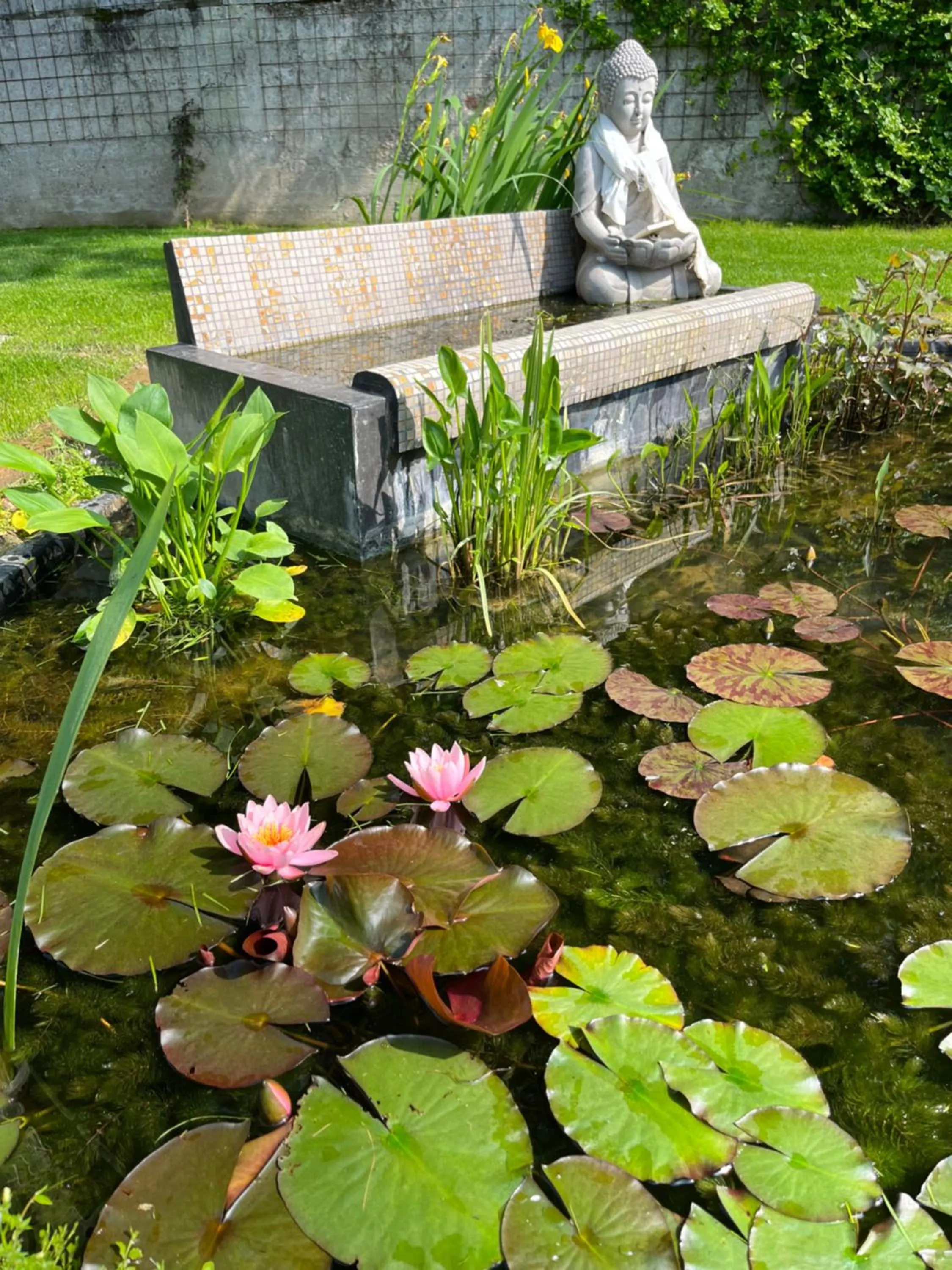 Lunafragola Atelier B&B