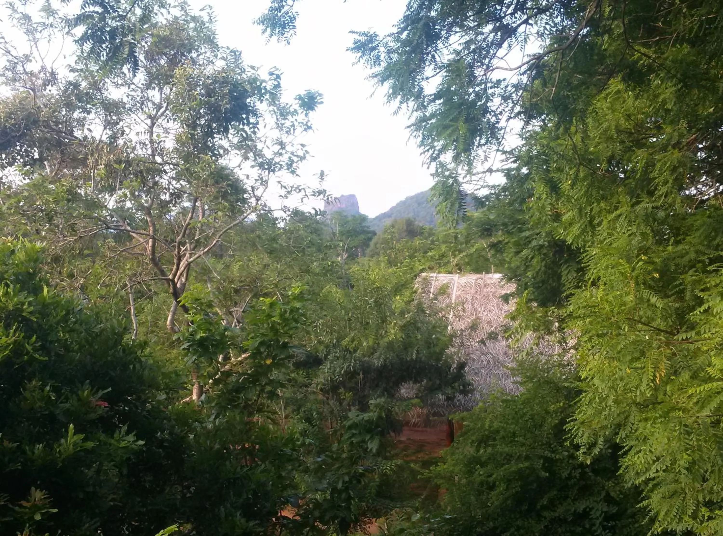 Other in Kuwera Eco Lodge