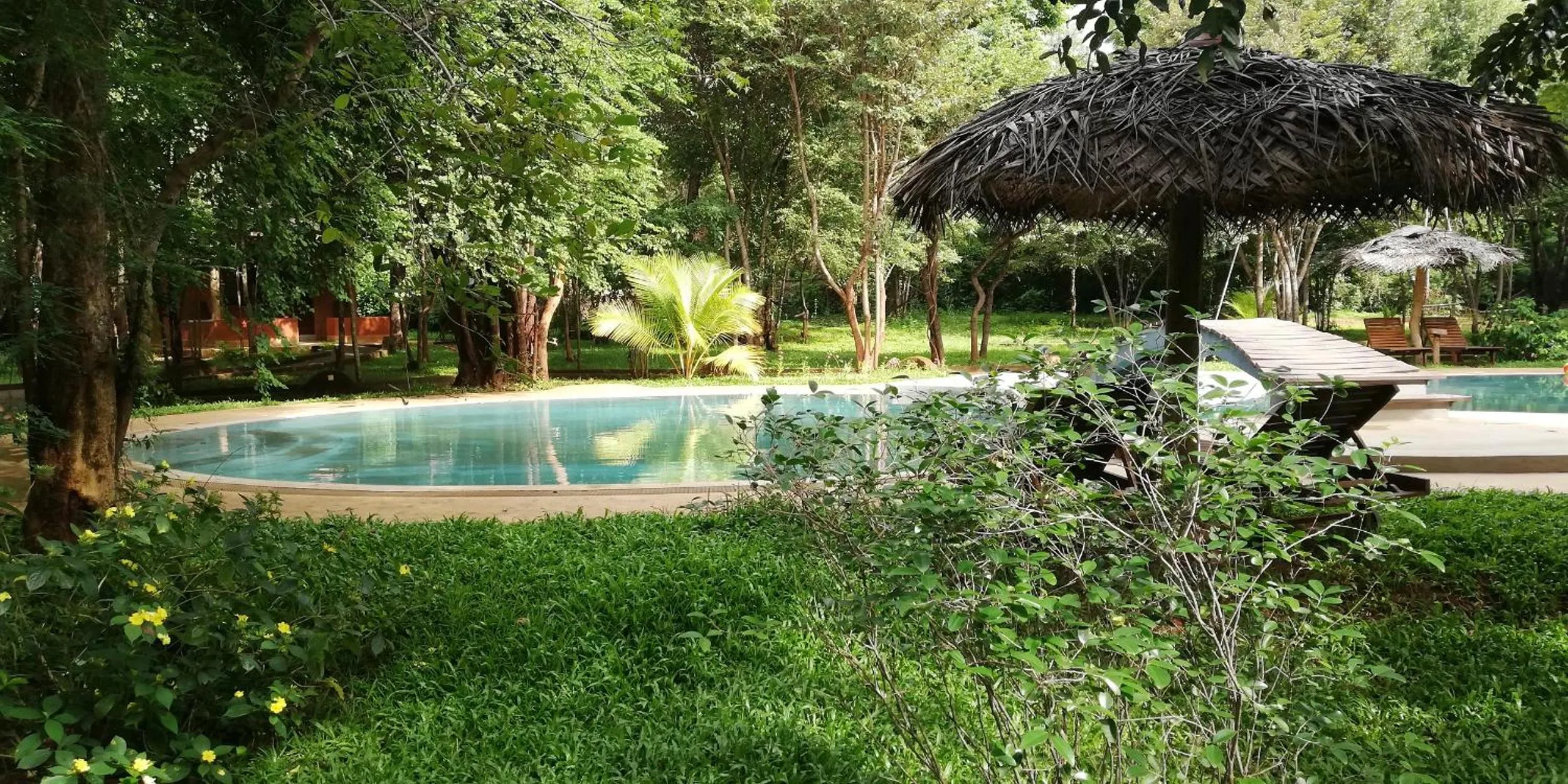 Garden in Kuwera Eco Lodge