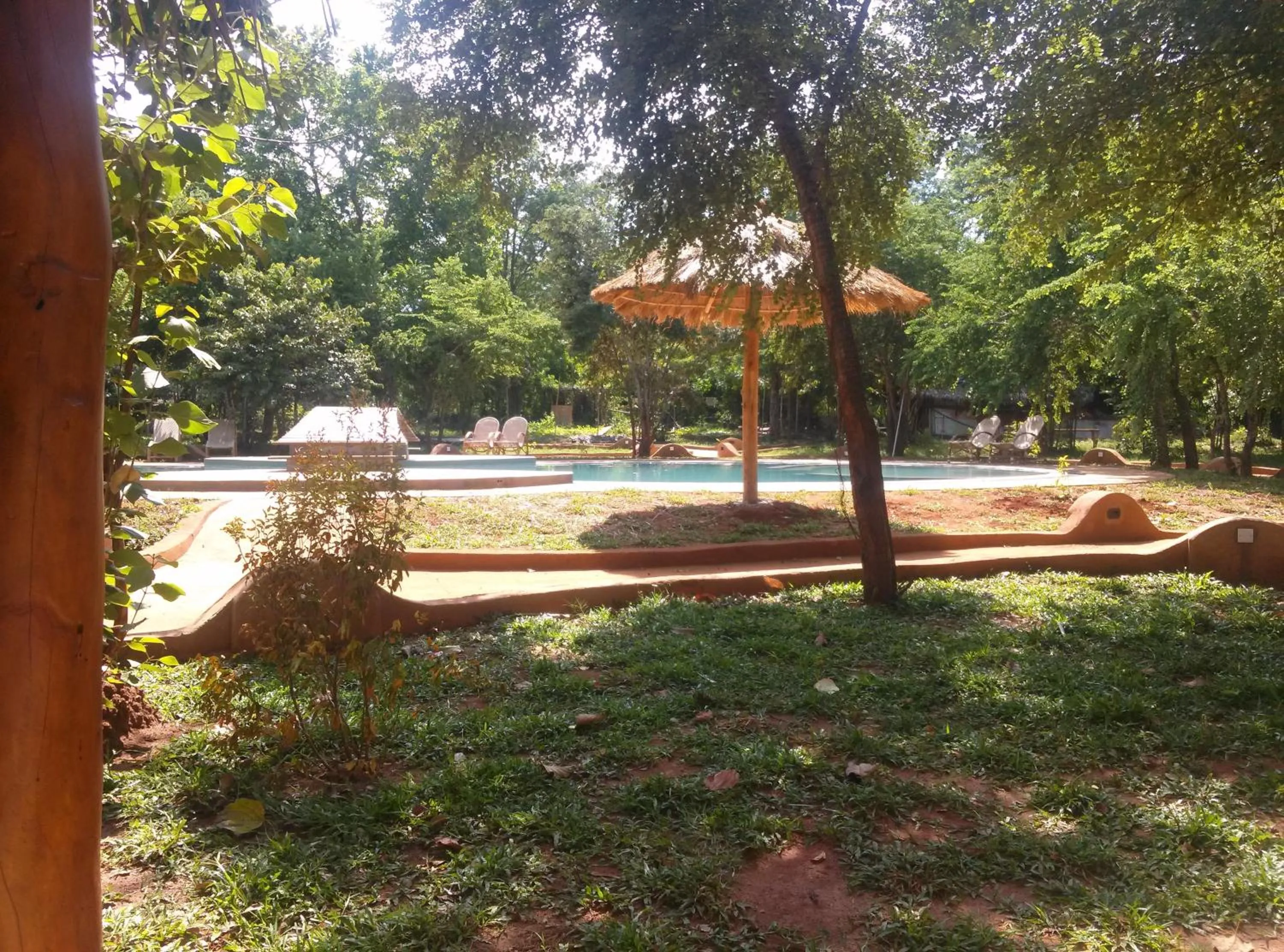 Garden in Kuwera Eco Lodge