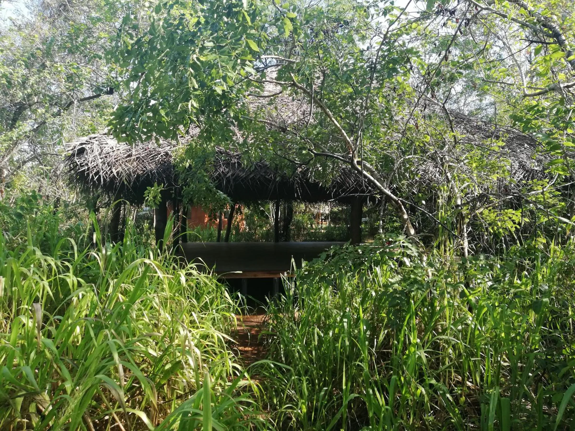 Activities in Kuwera Eco Lodge