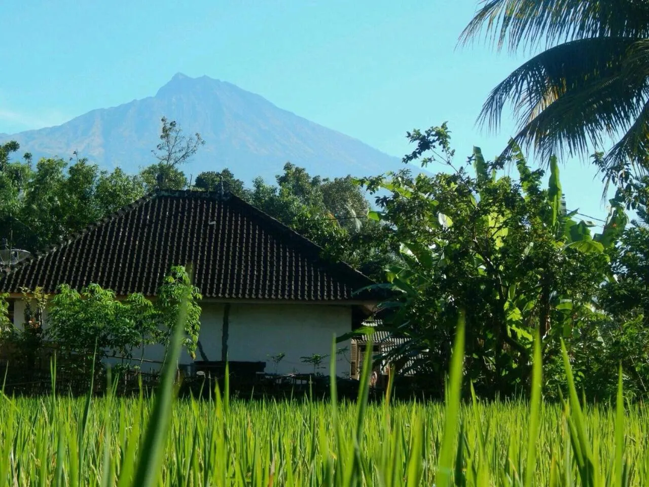Natural landscape in Kembang Kuning Cottages