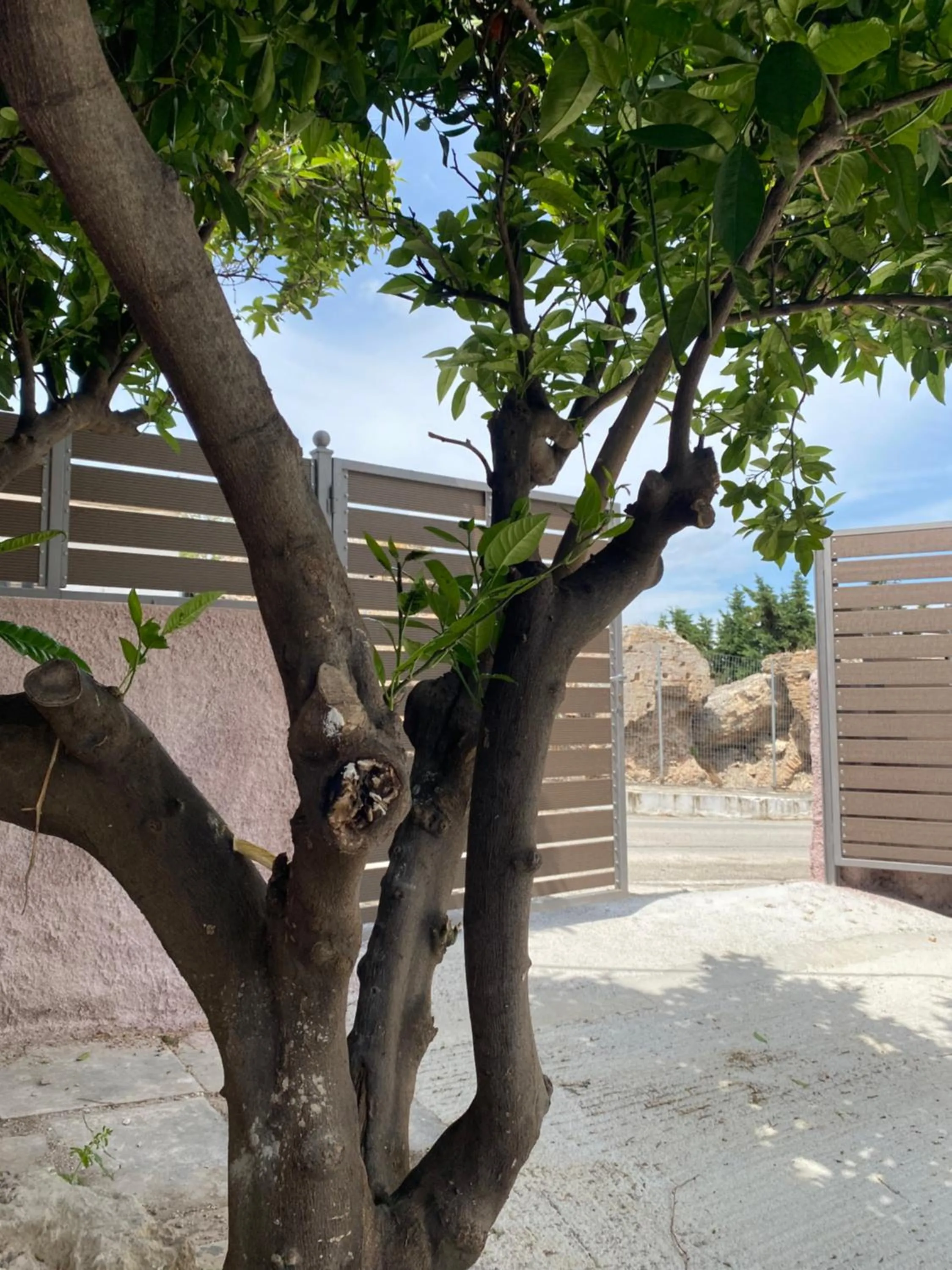 Patio in Pegasus Rooms