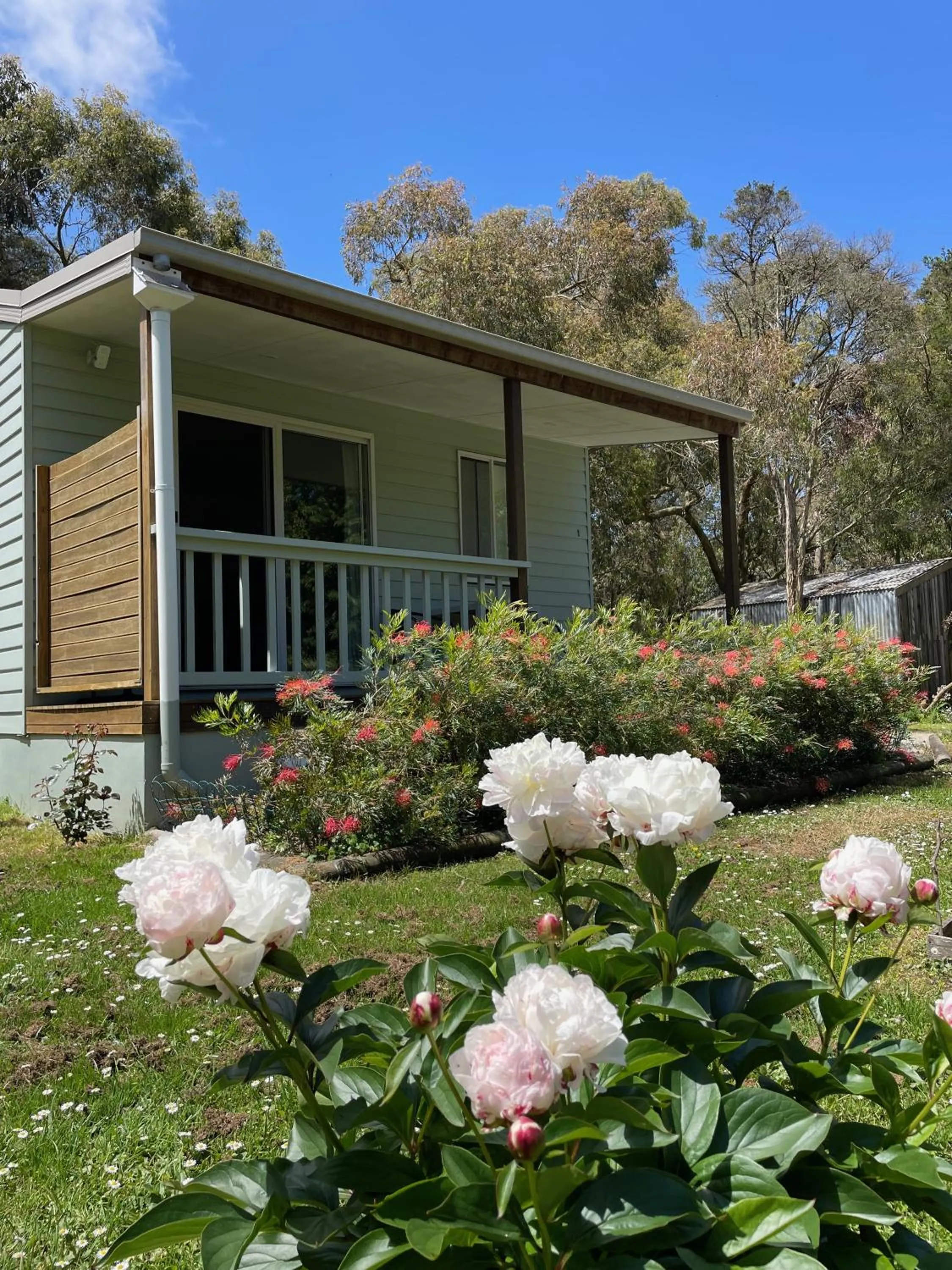 Garden in Tindoona Cottages