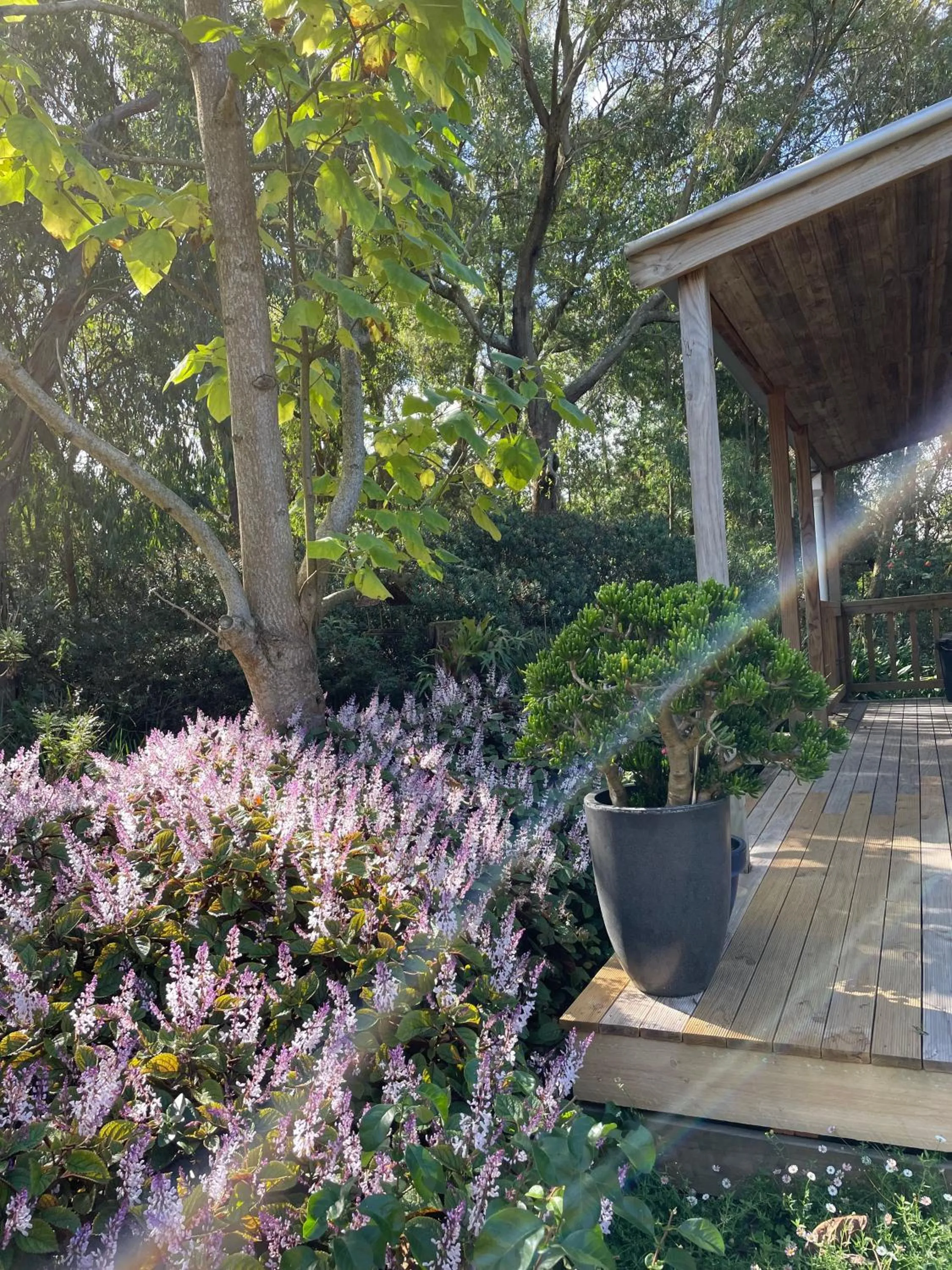 Patio in Tindoona Cottages