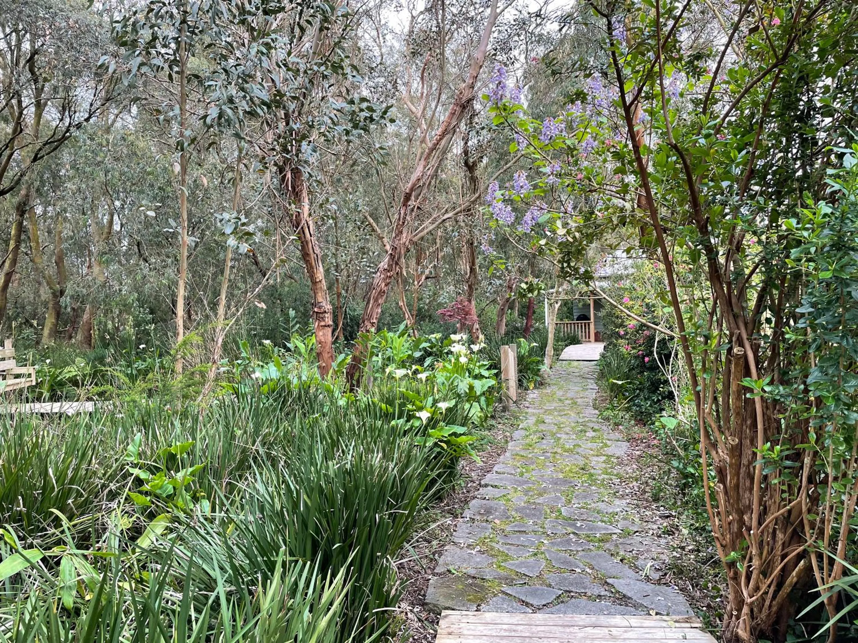 Natural landscape in Tindoona Cottages