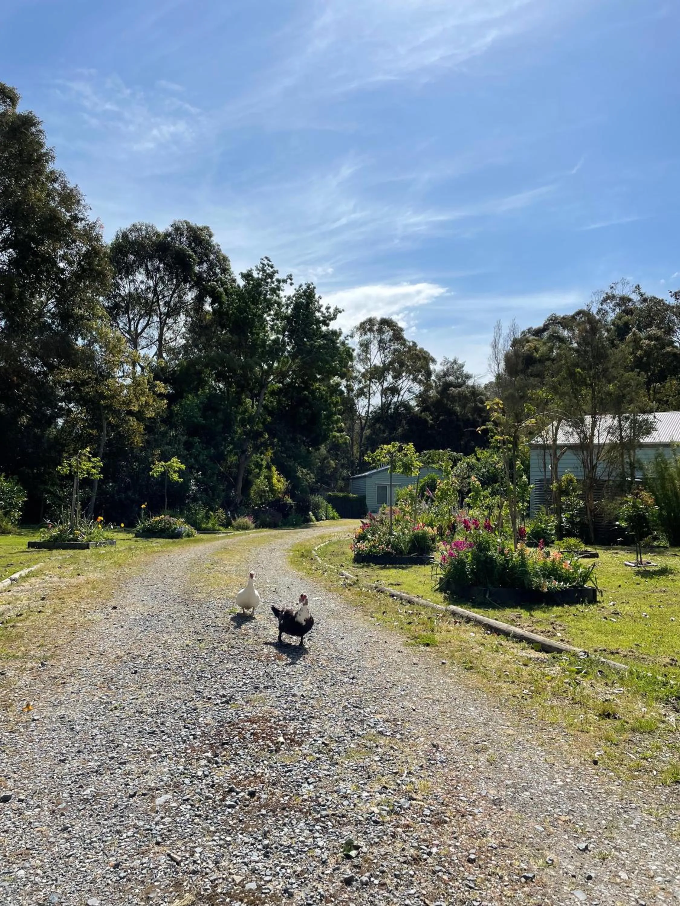 Garden in Tindoona Cottages