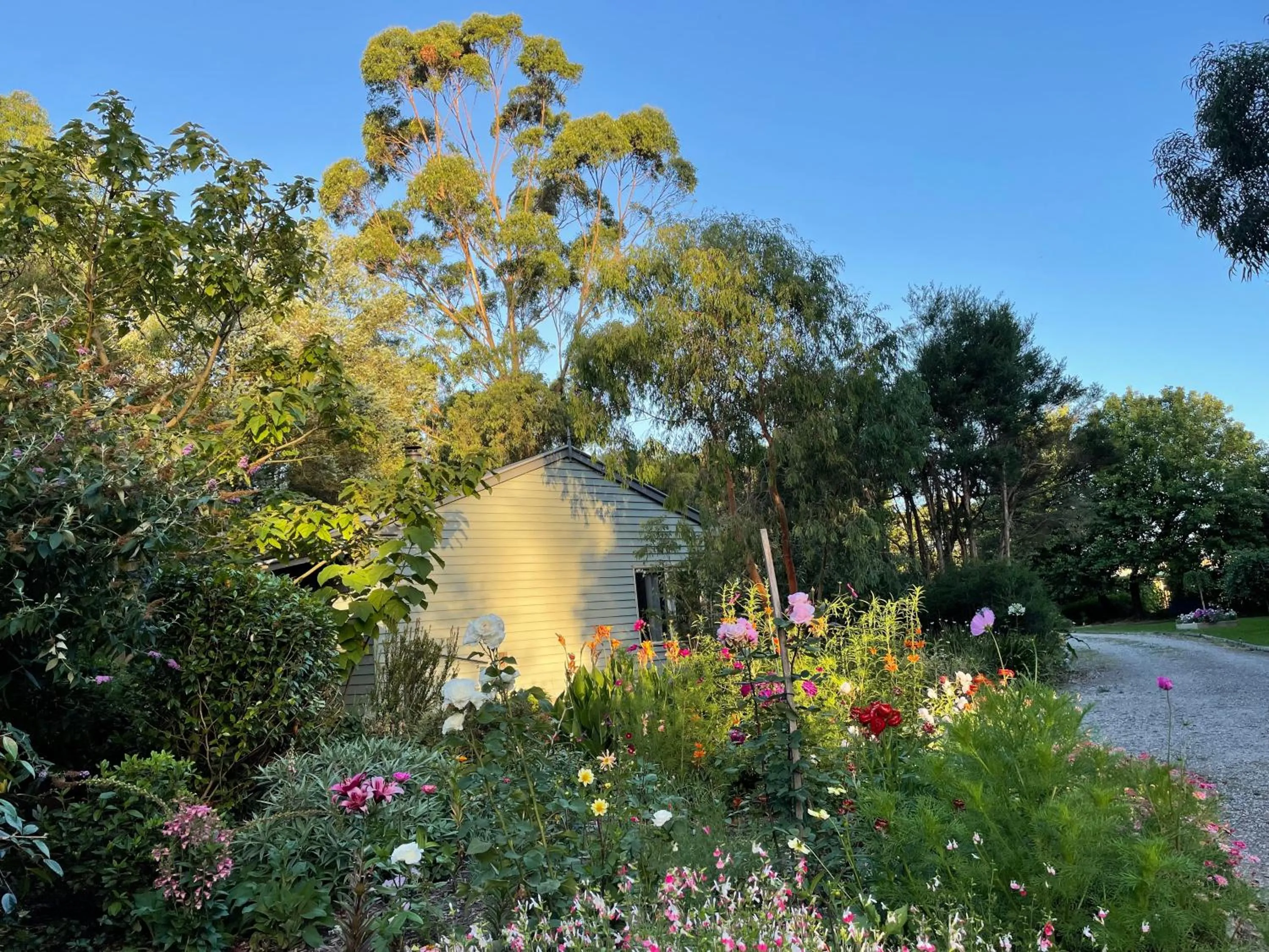 Garden in Tindoona Cottages