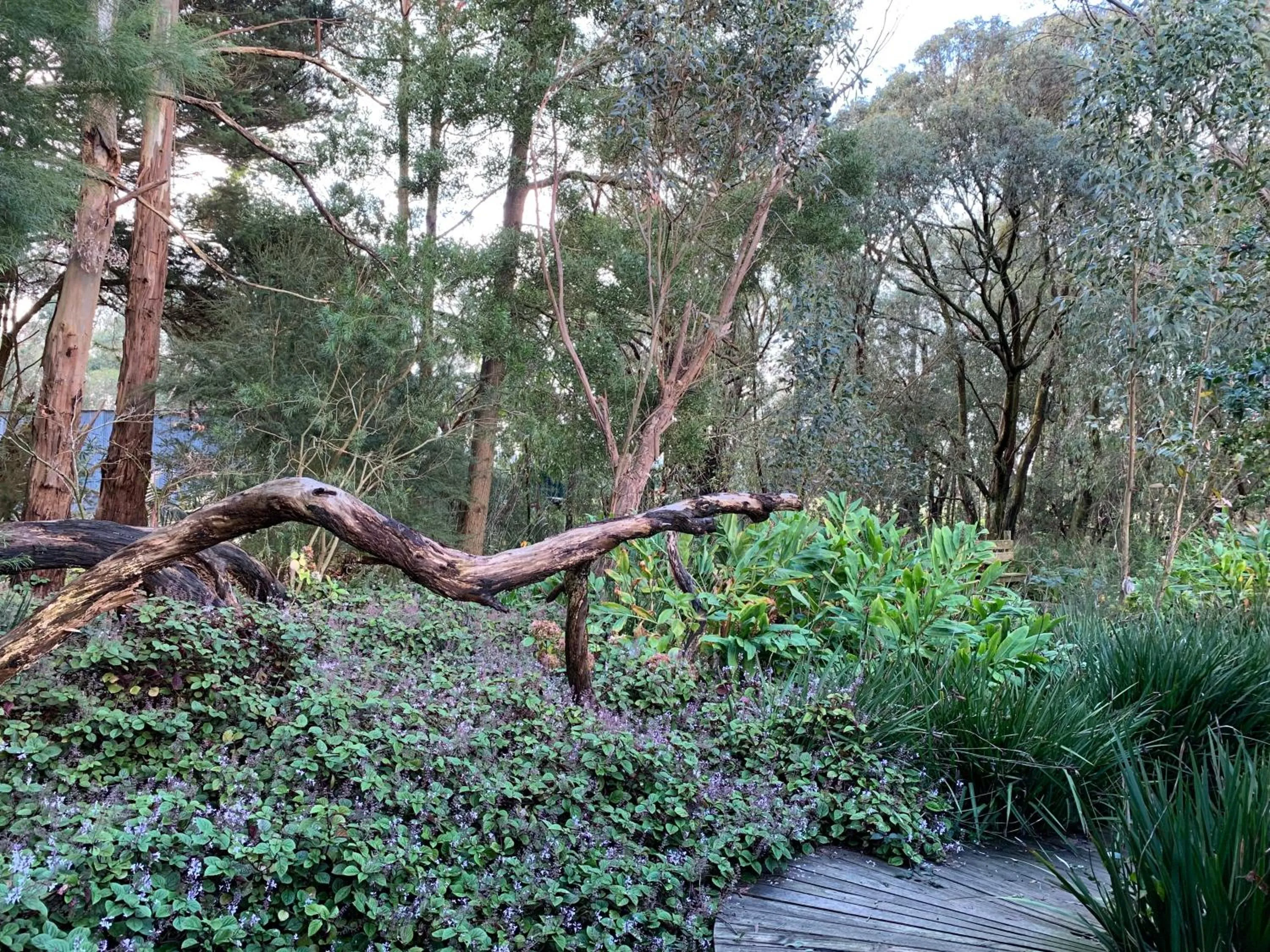 Natural landscape in Tindoona Cottages