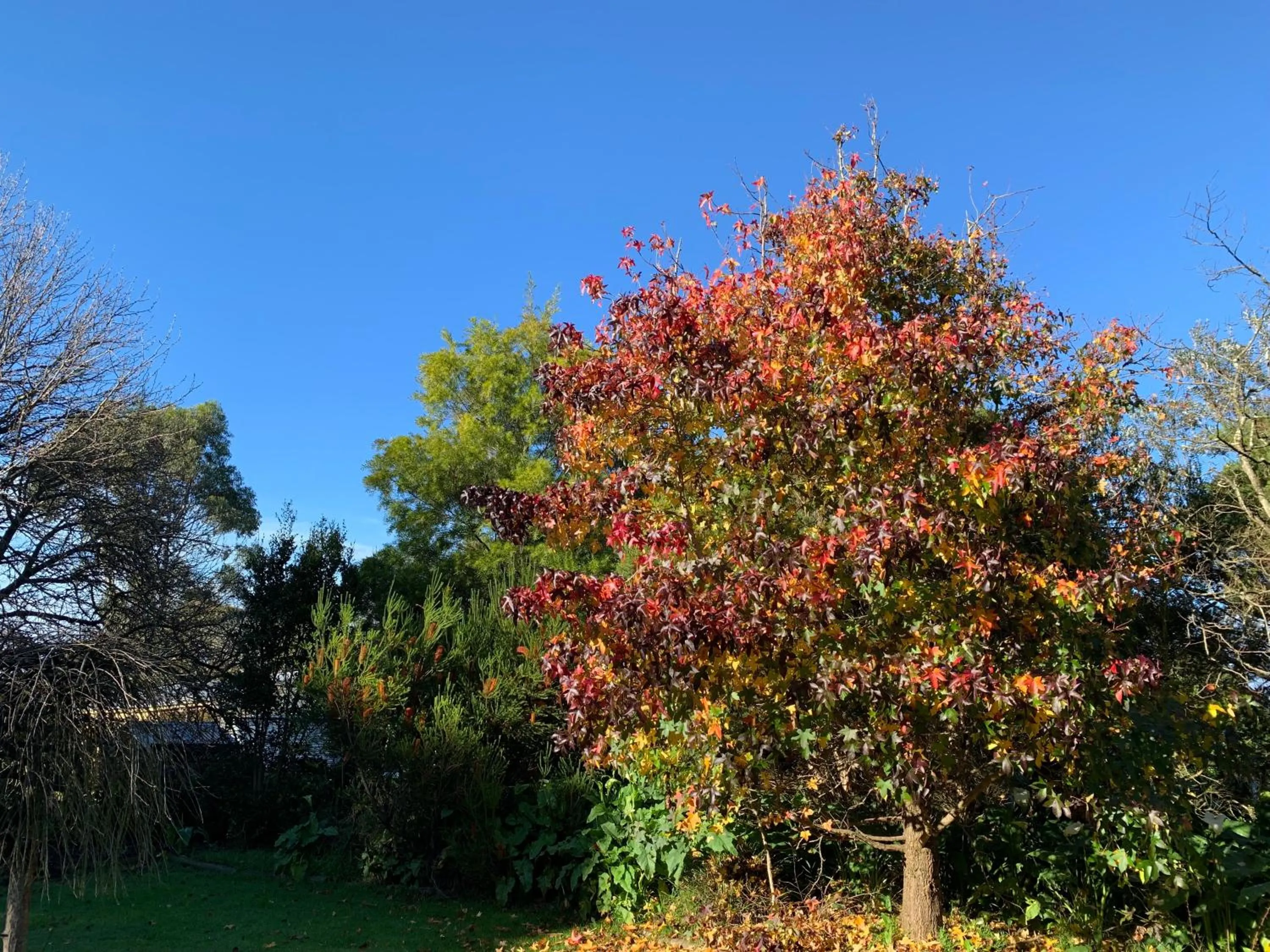Natural landscape in Tindoona Cottages