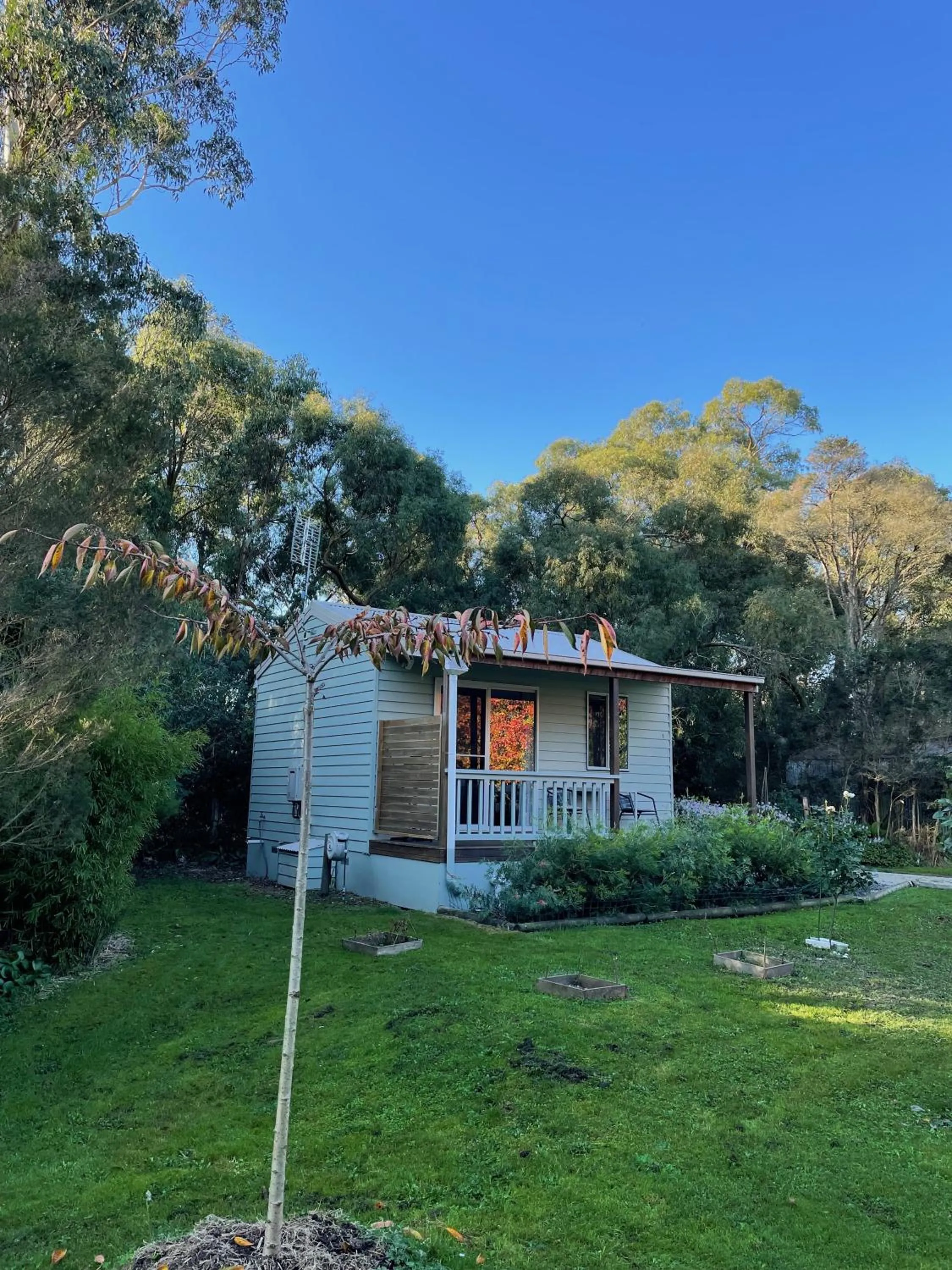 Natural landscape in Tindoona Cottages