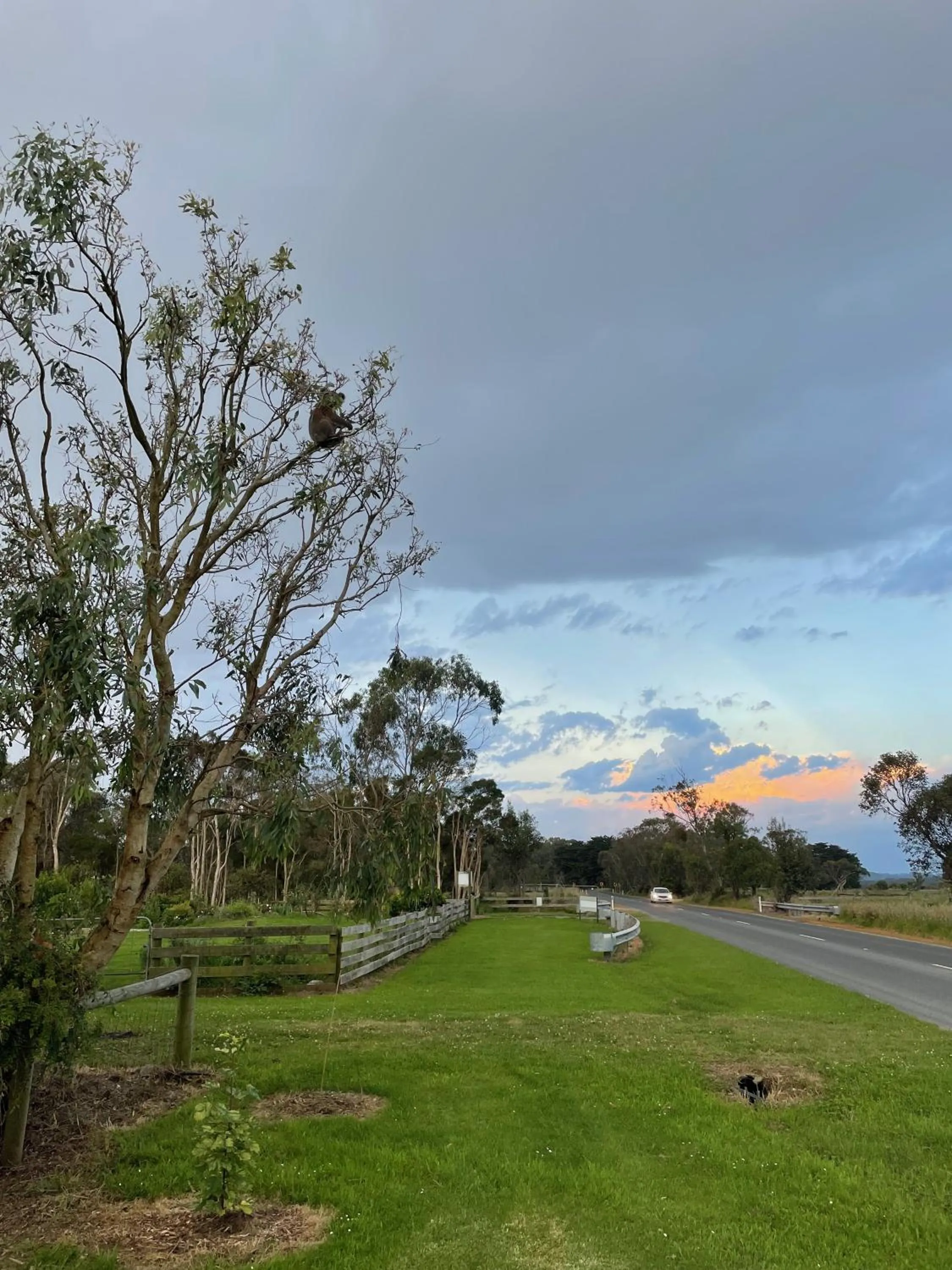 Animals in Tindoona Cottages