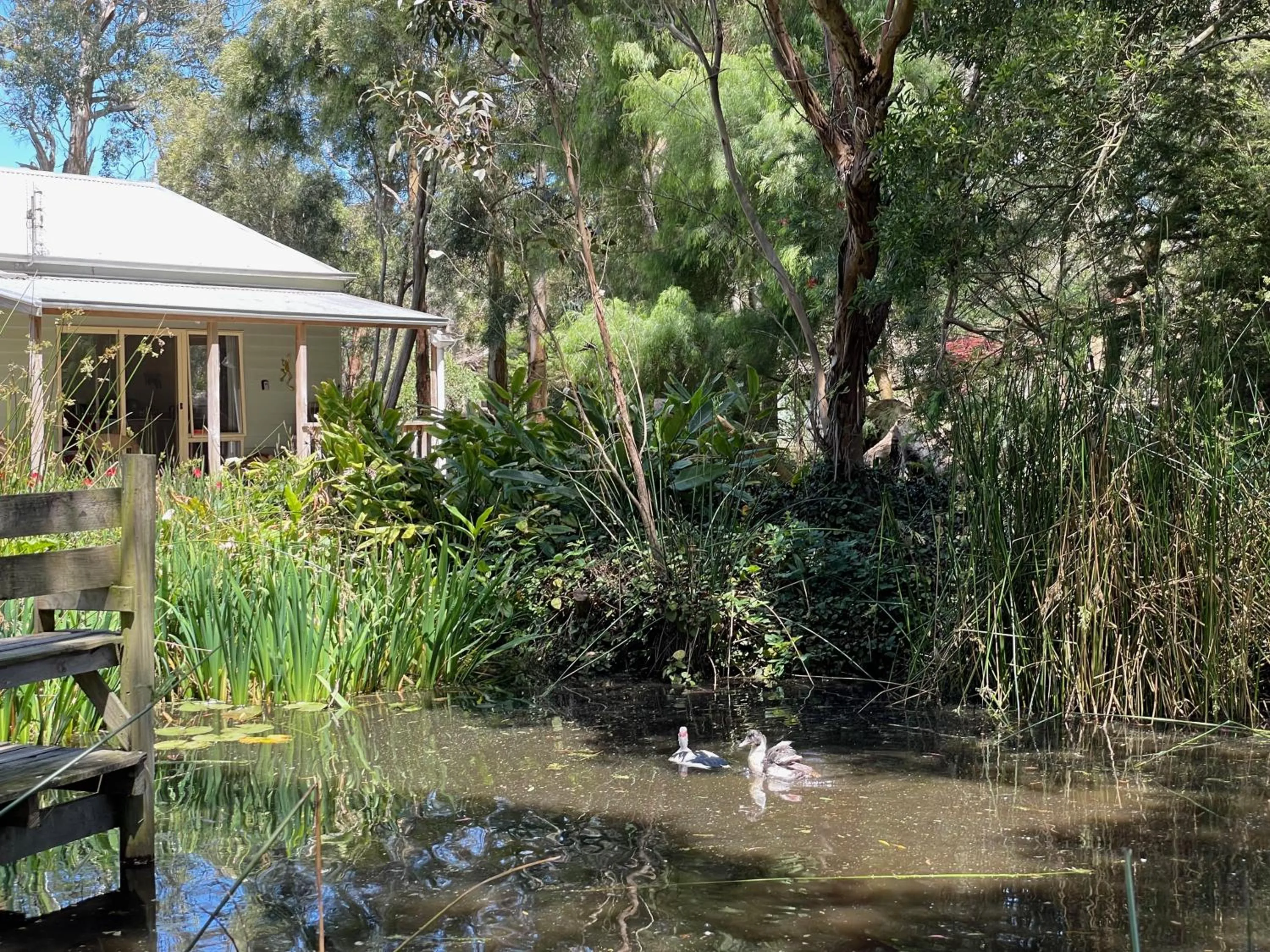 Natural landscape in Tindoona Cottages