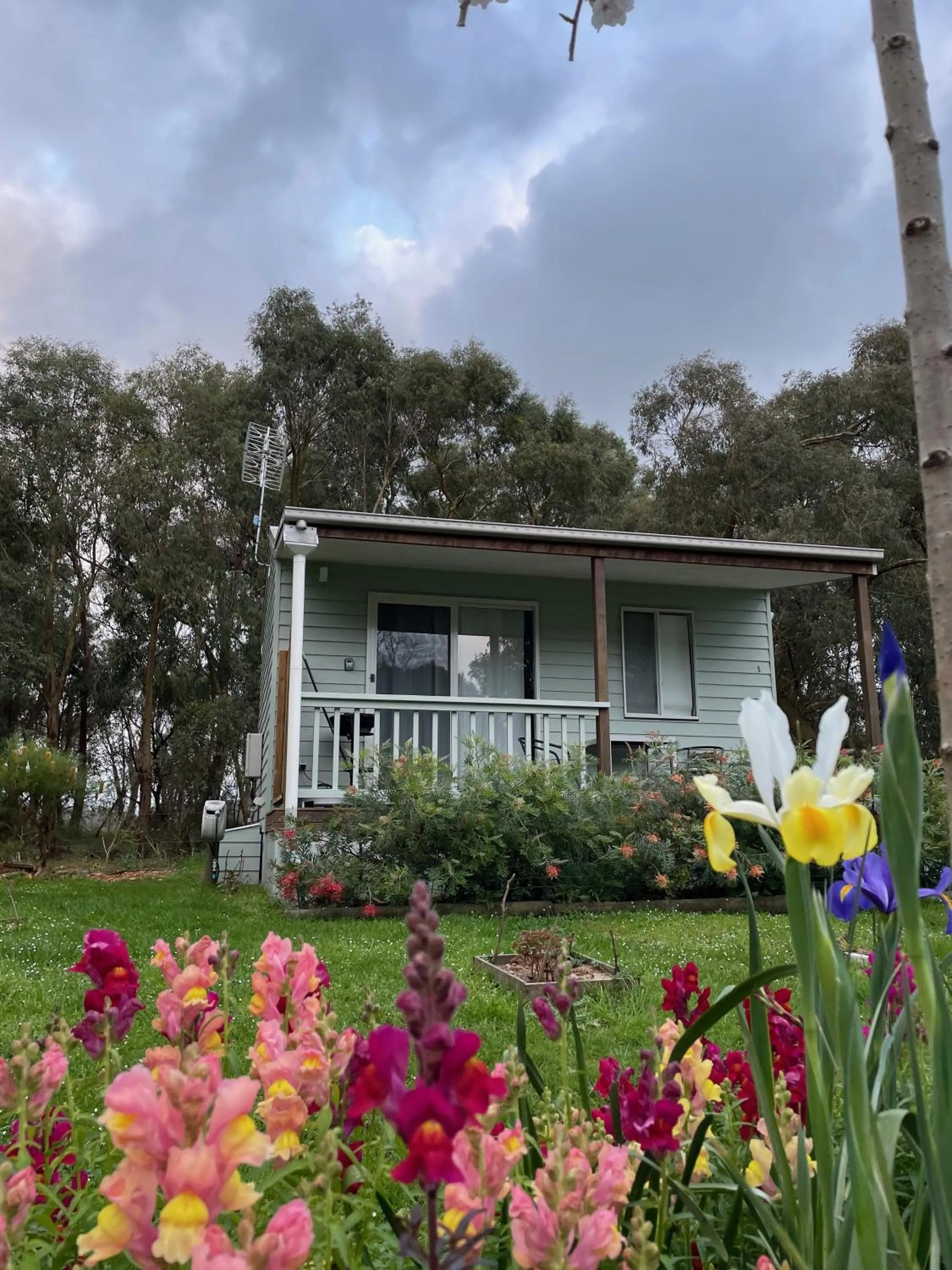 View (from property/room) in Tindoona Cottages