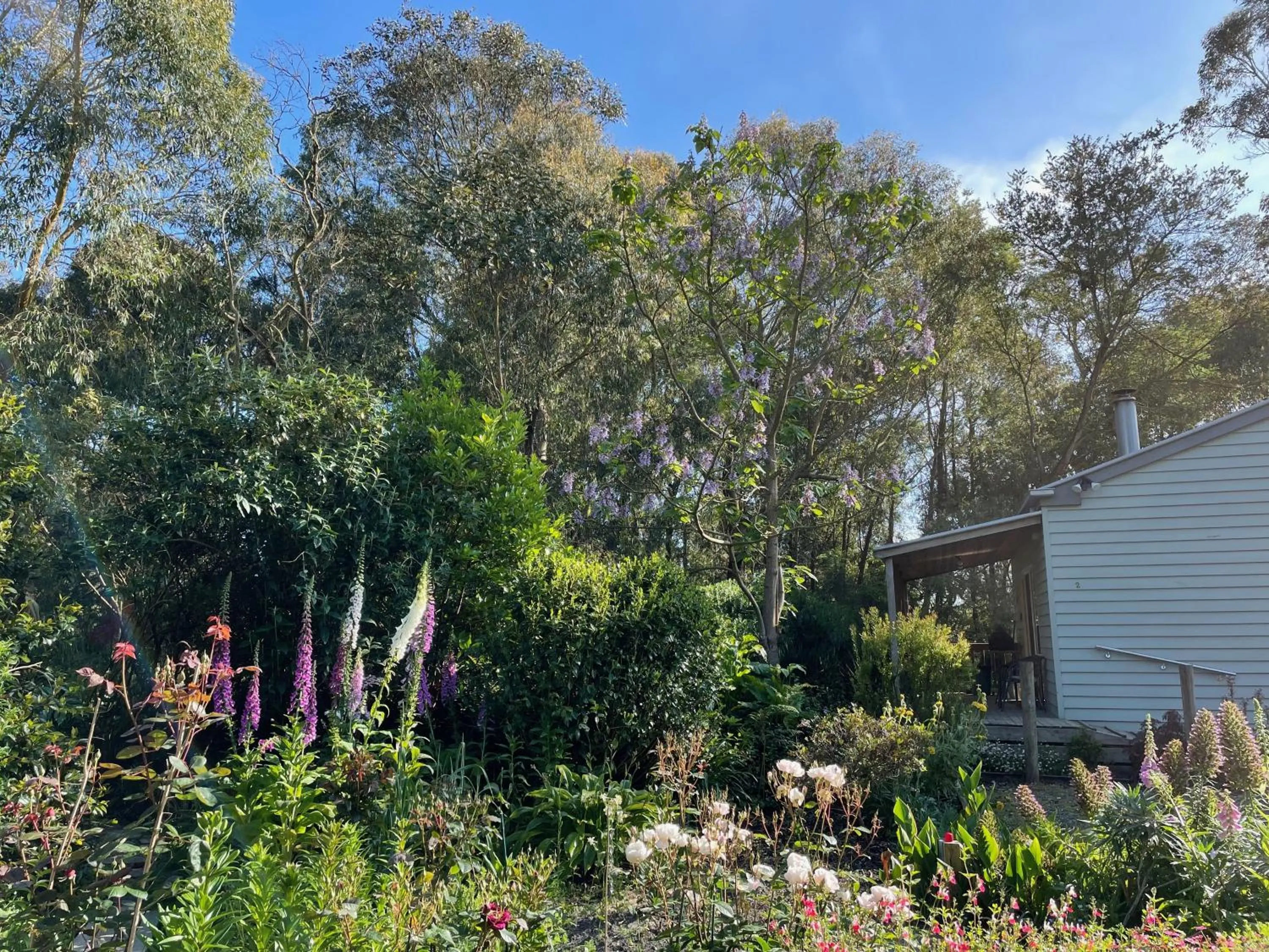 Garden view in Tindoona Cottages