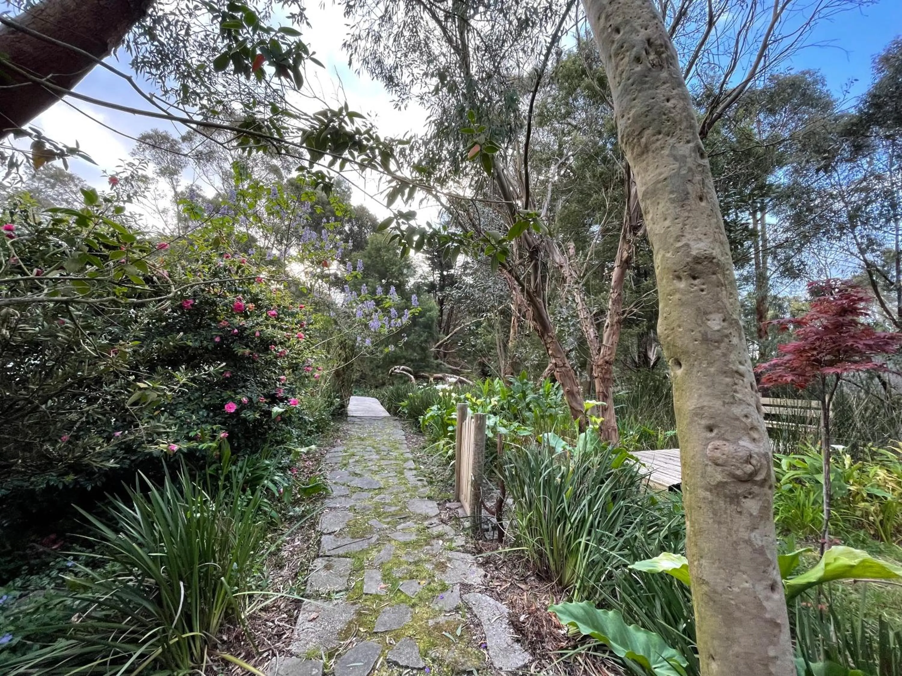 Natural landscape in Tindoona Cottages