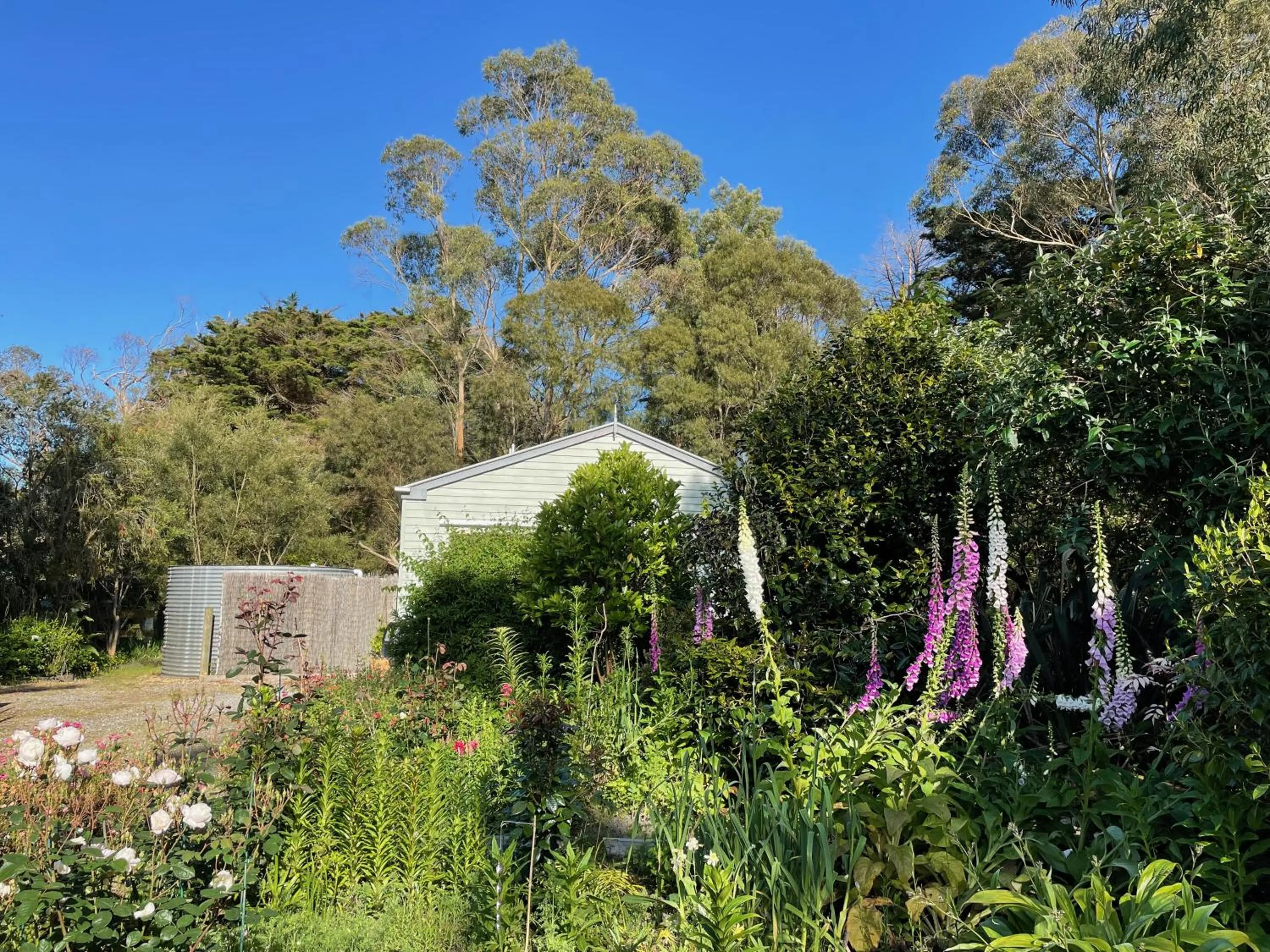 Garden in Tindoona Cottages
