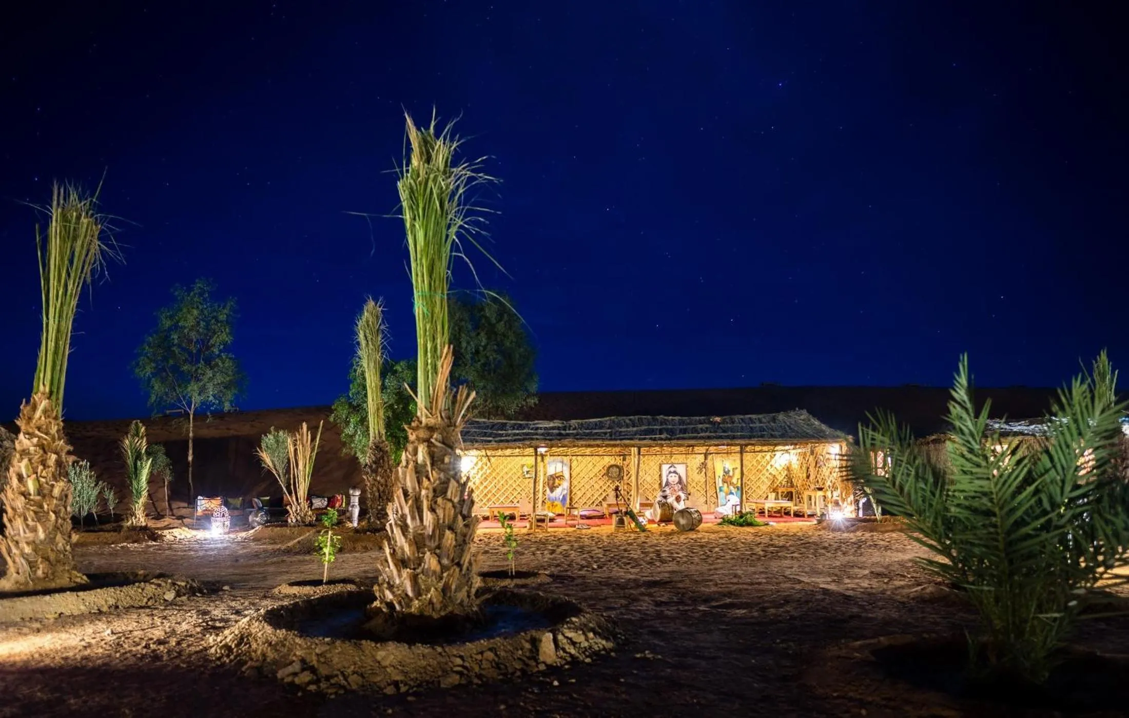 The Desert Palace