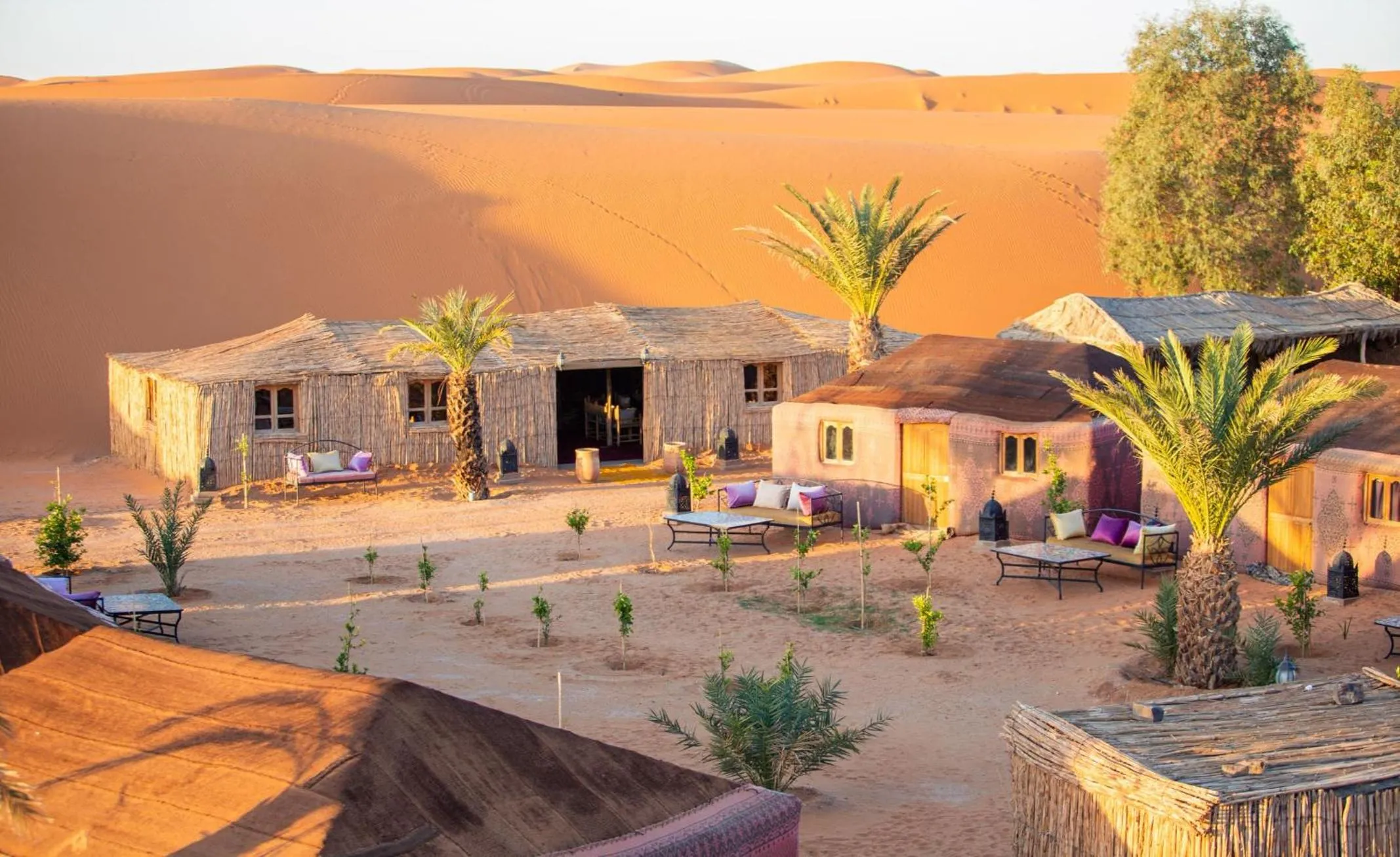 The Desert Palace