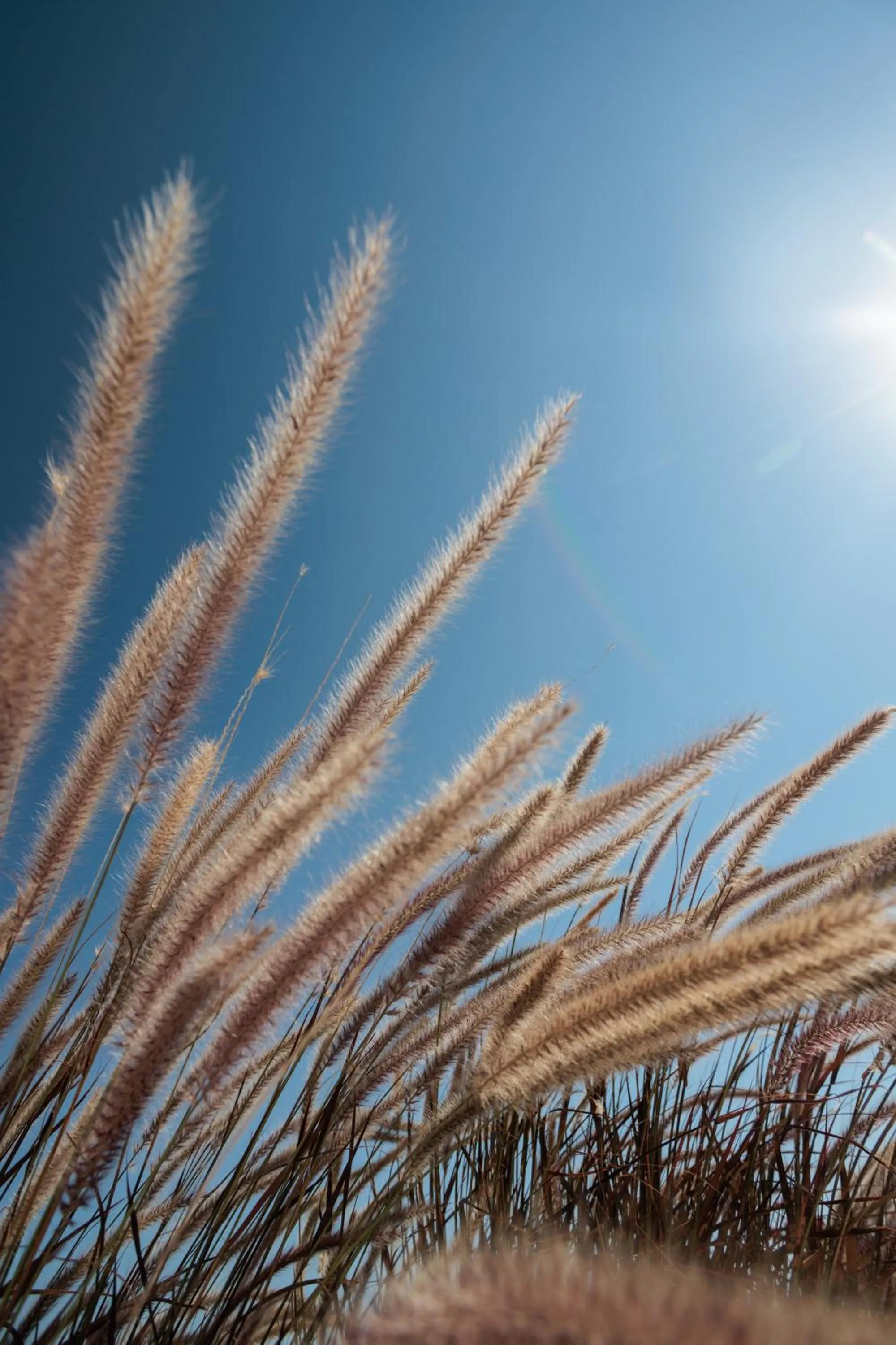 Landmark view in Halcyon Suites and Villas Naxos