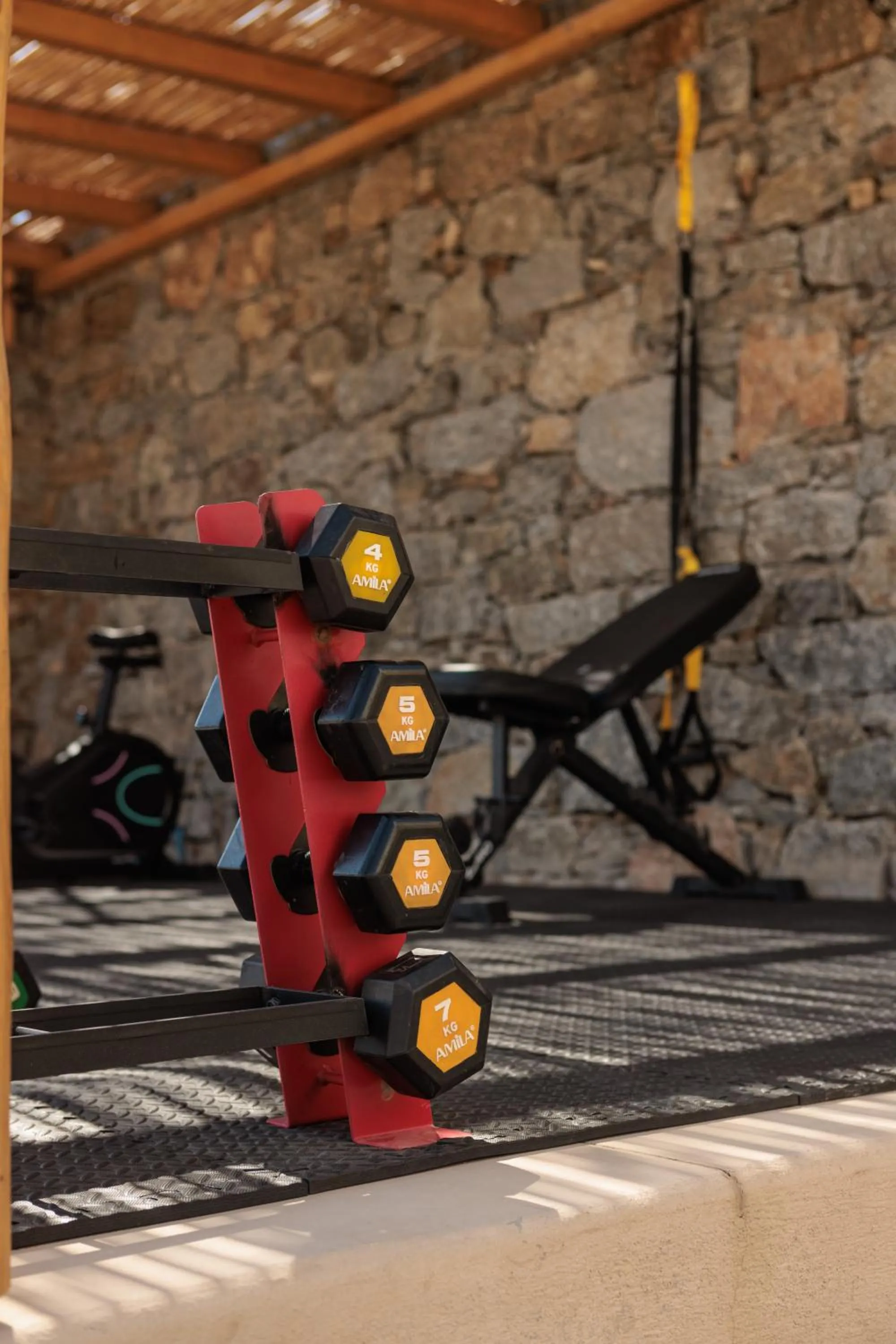 Fitness centre/facilities in Halcyon Suites and Villas Naxos