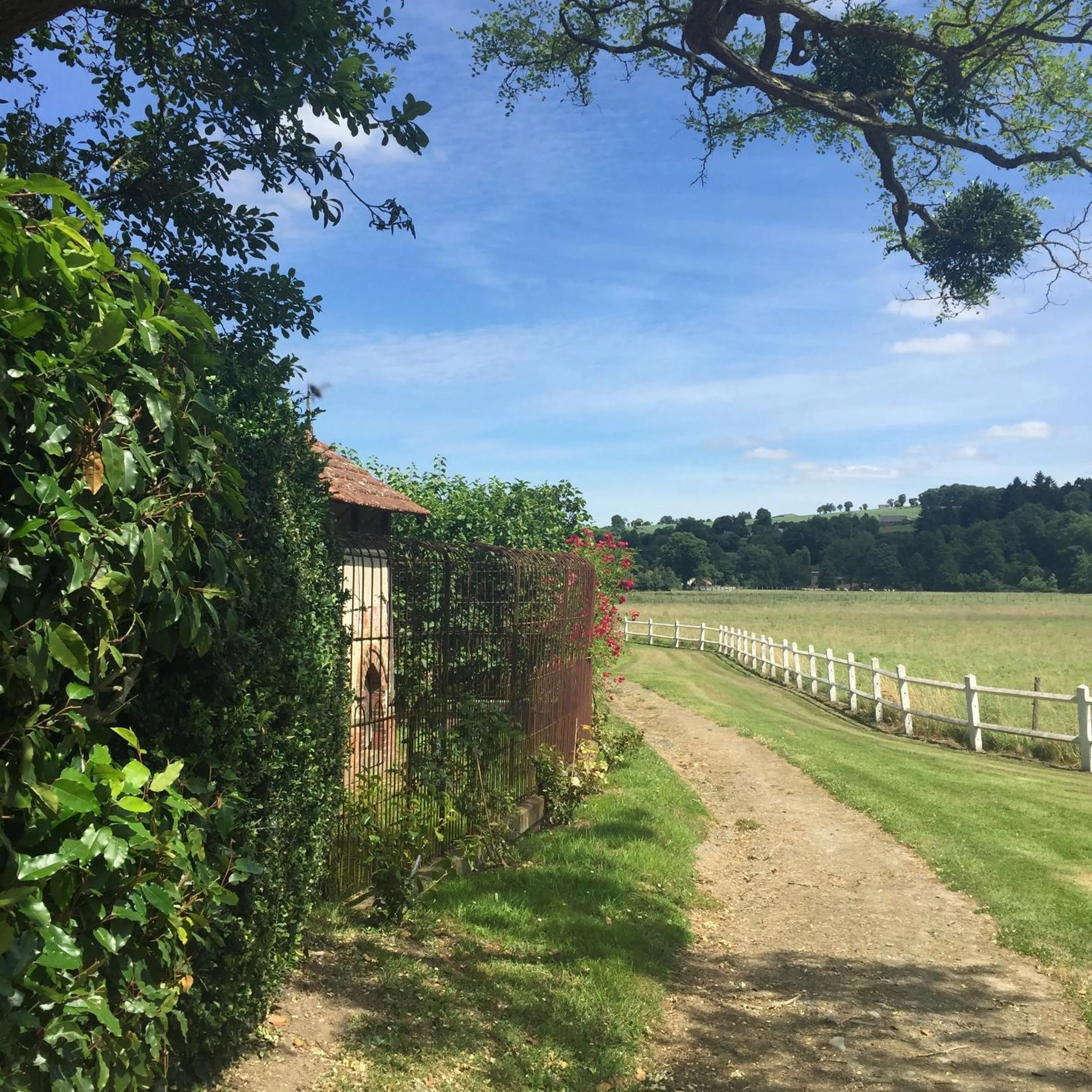 Garden in Le Manoir de Bénédicte B&B