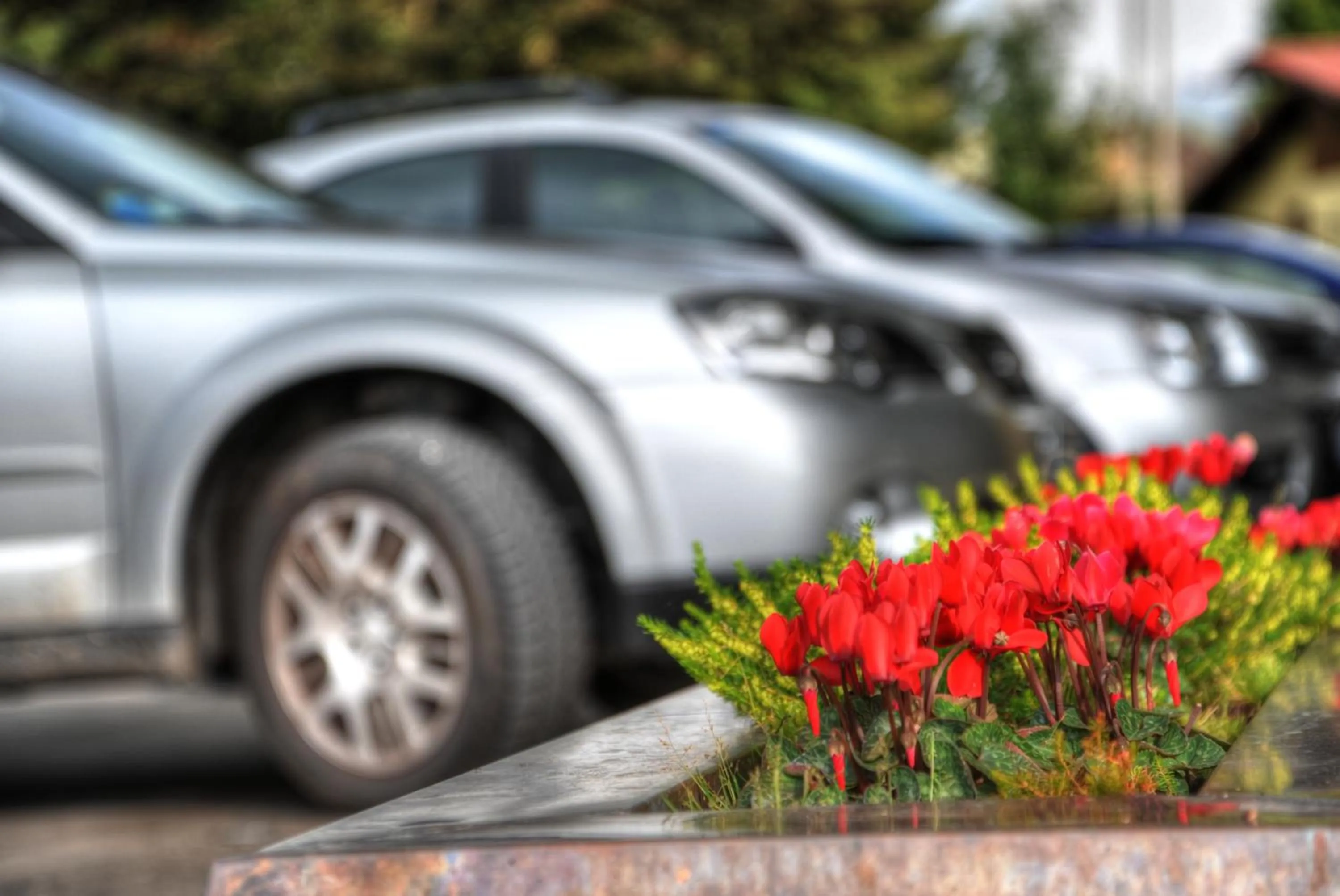 Decorative detail in Residence Des Alpes