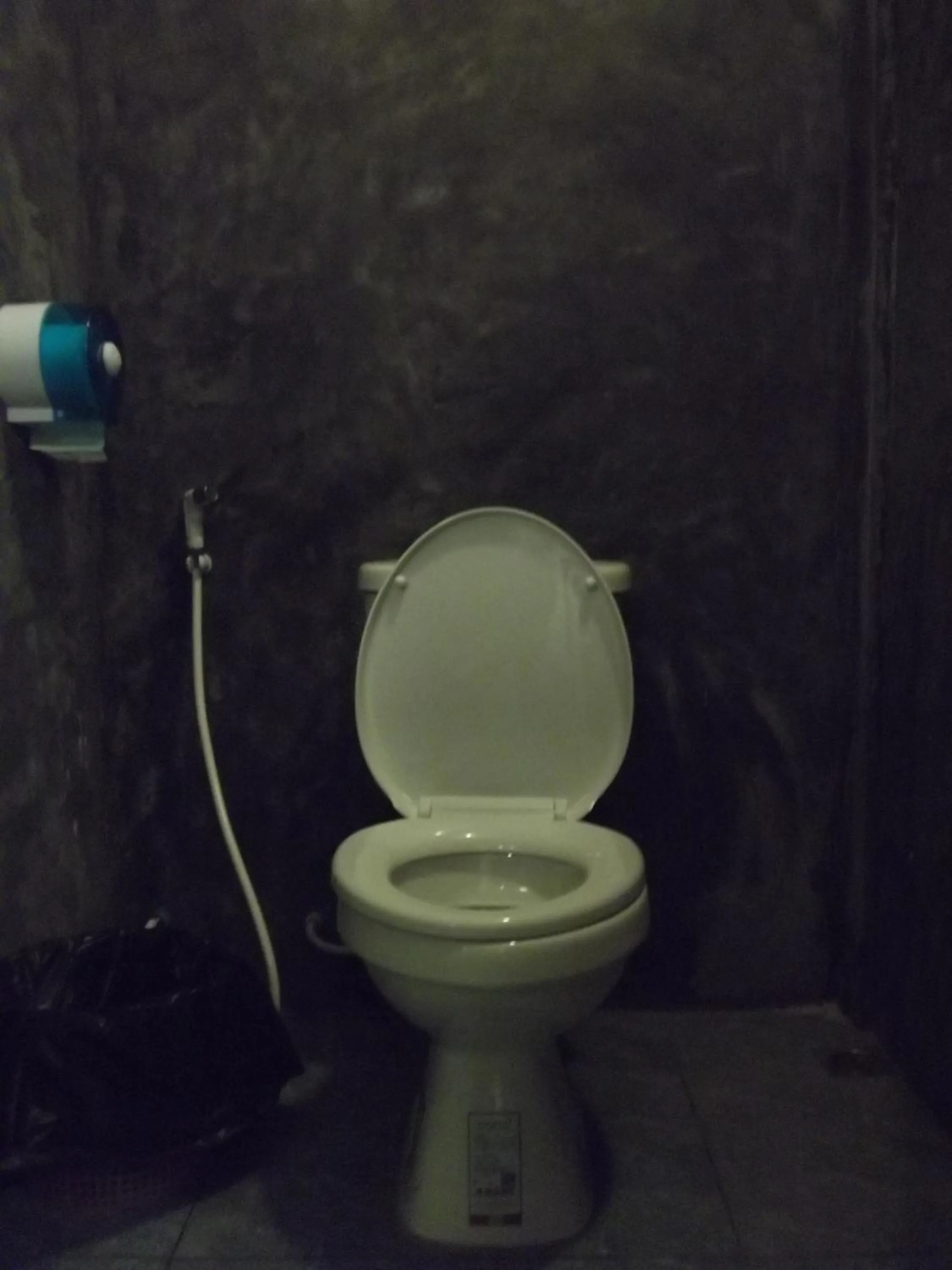 Toilet in Sleep Tight Hostel at Koh Phangan