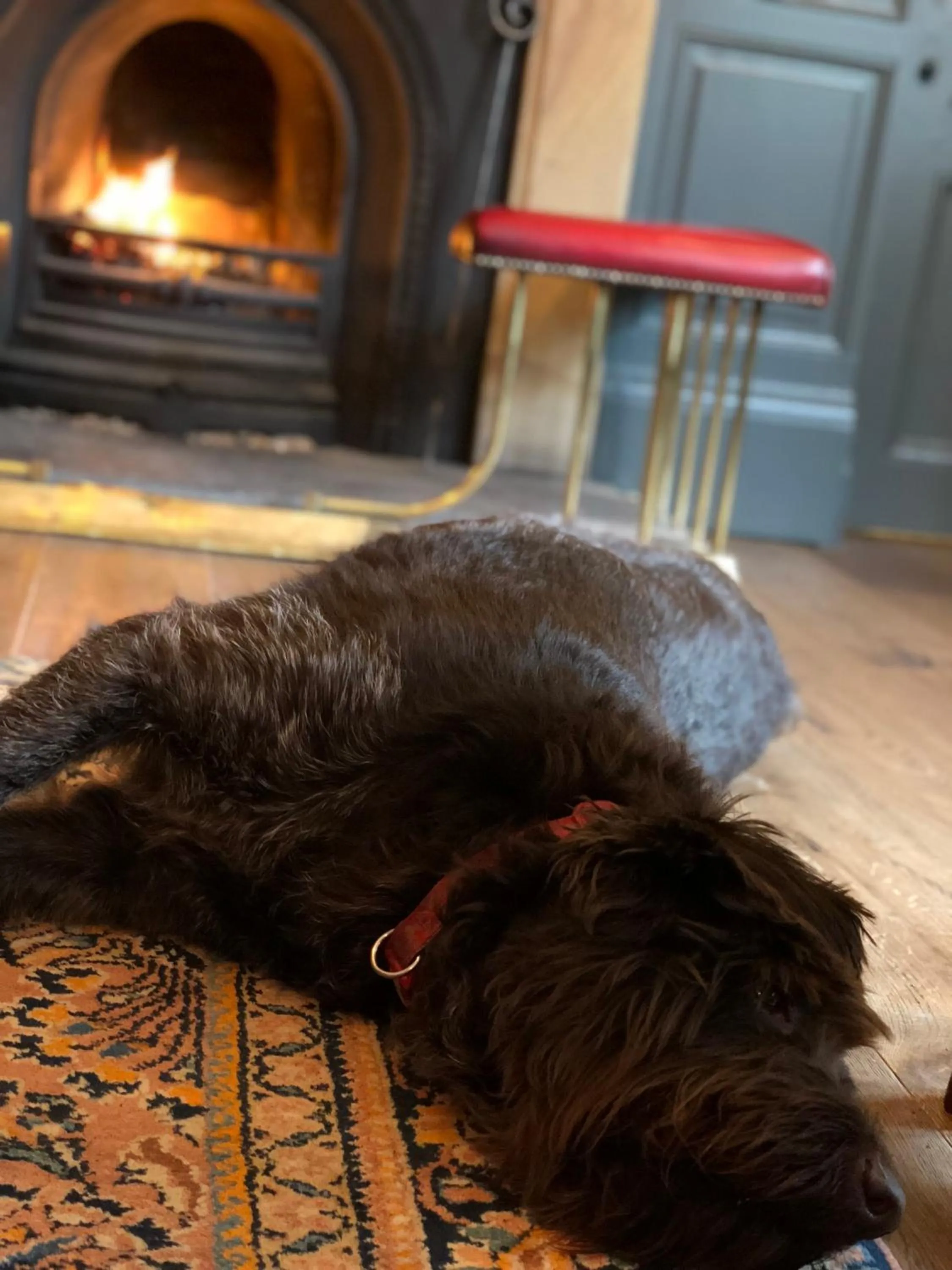 Pets in The Wheatsheaf at Beetham